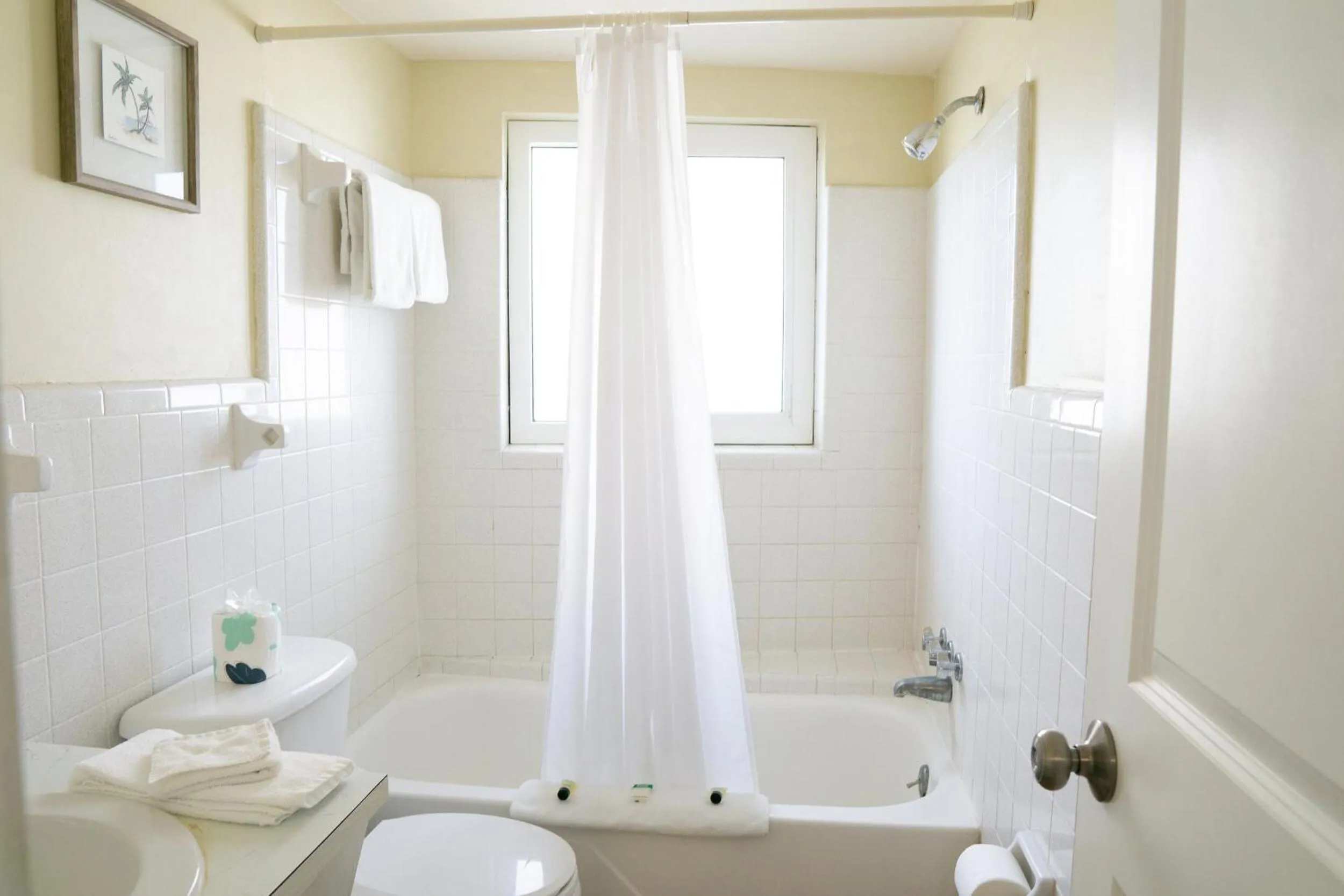 The Molloy - A Boutique Beach Resort