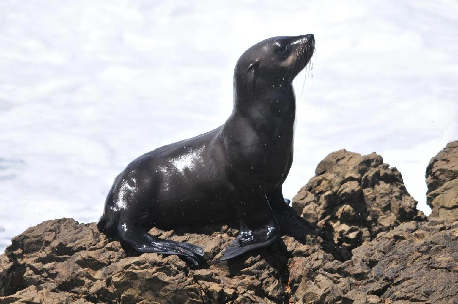 Natural landscape in Milkwood Lodge