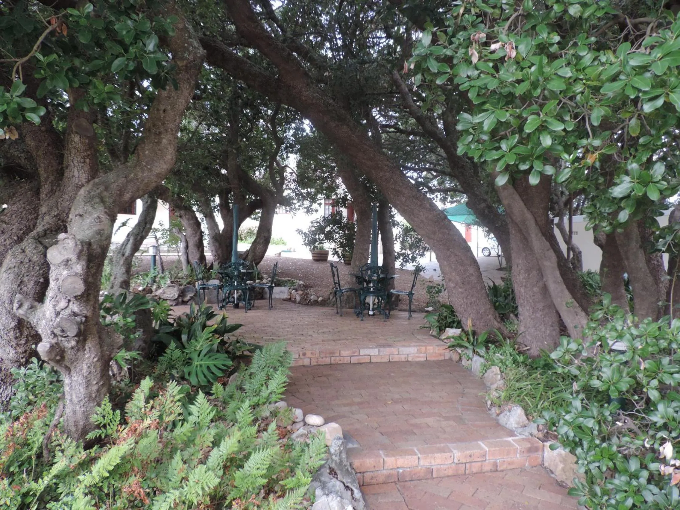 Garden in Milkwood Lodge