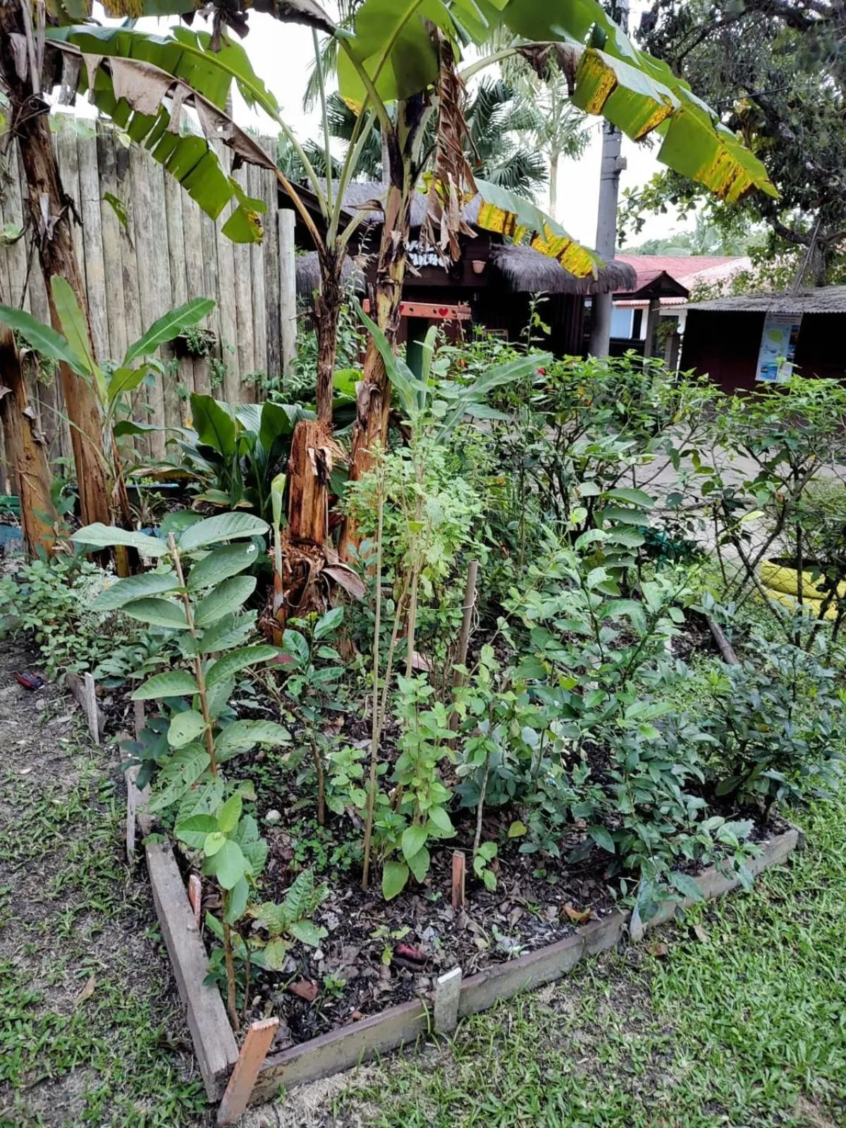Garden view in Pousada Recanto das Cores