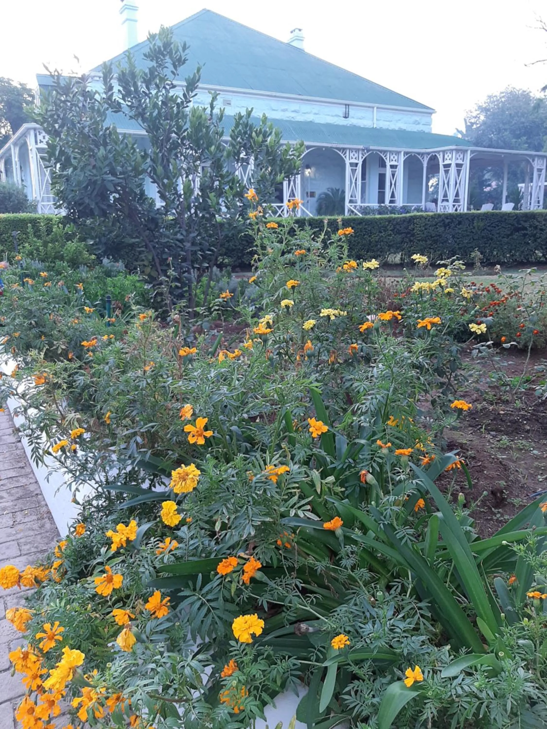 Garden view in Adley House