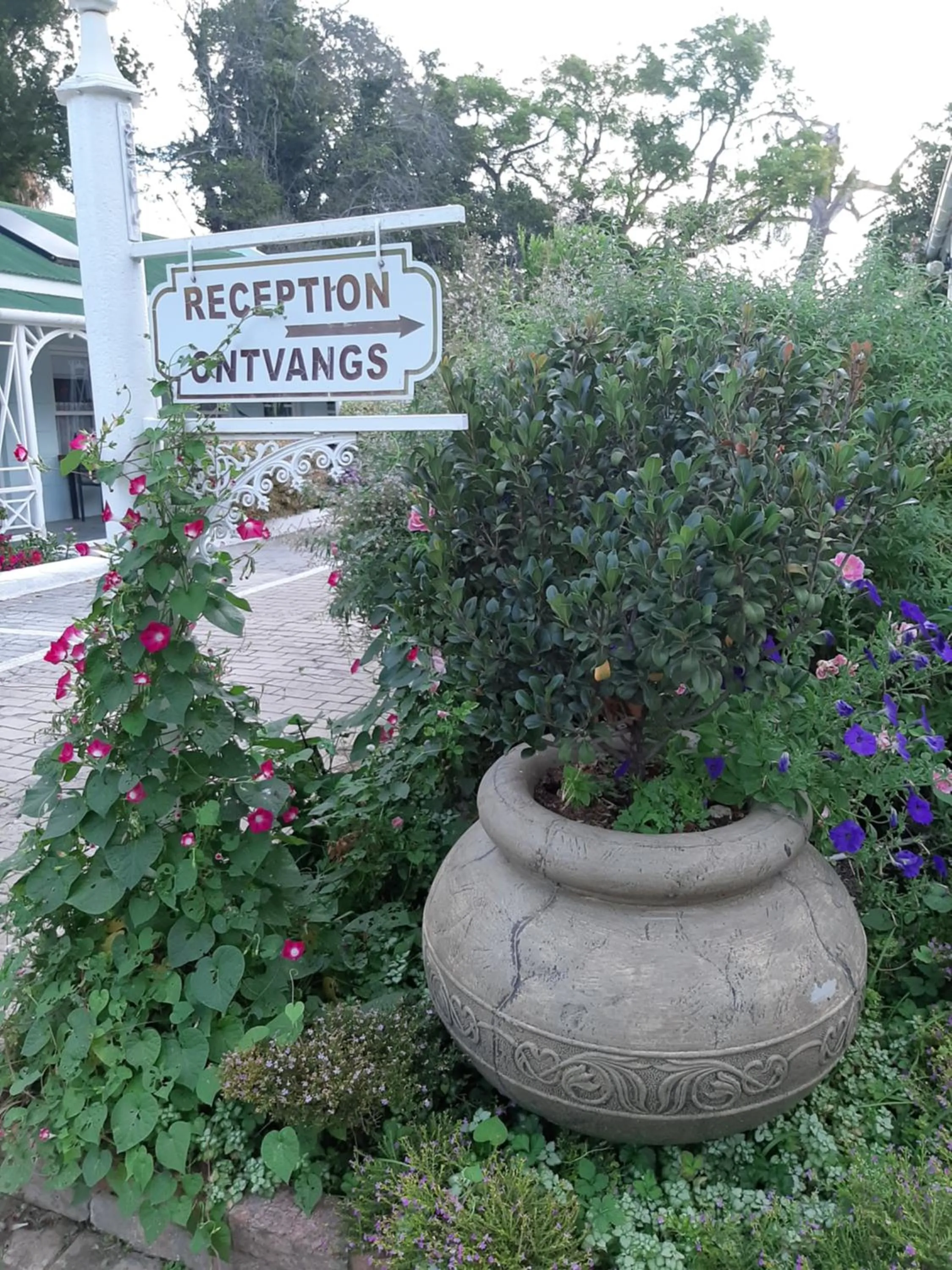 Garden in Adley House