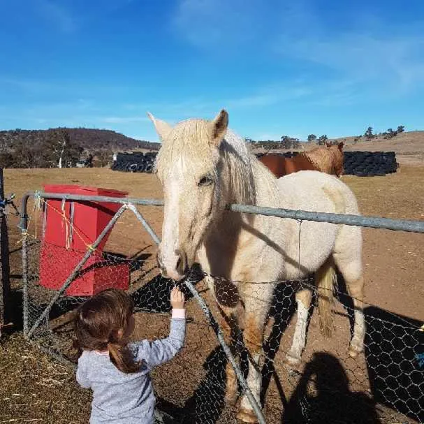 ALPINE COUNTRY MOTEL plus FREE COFFEE