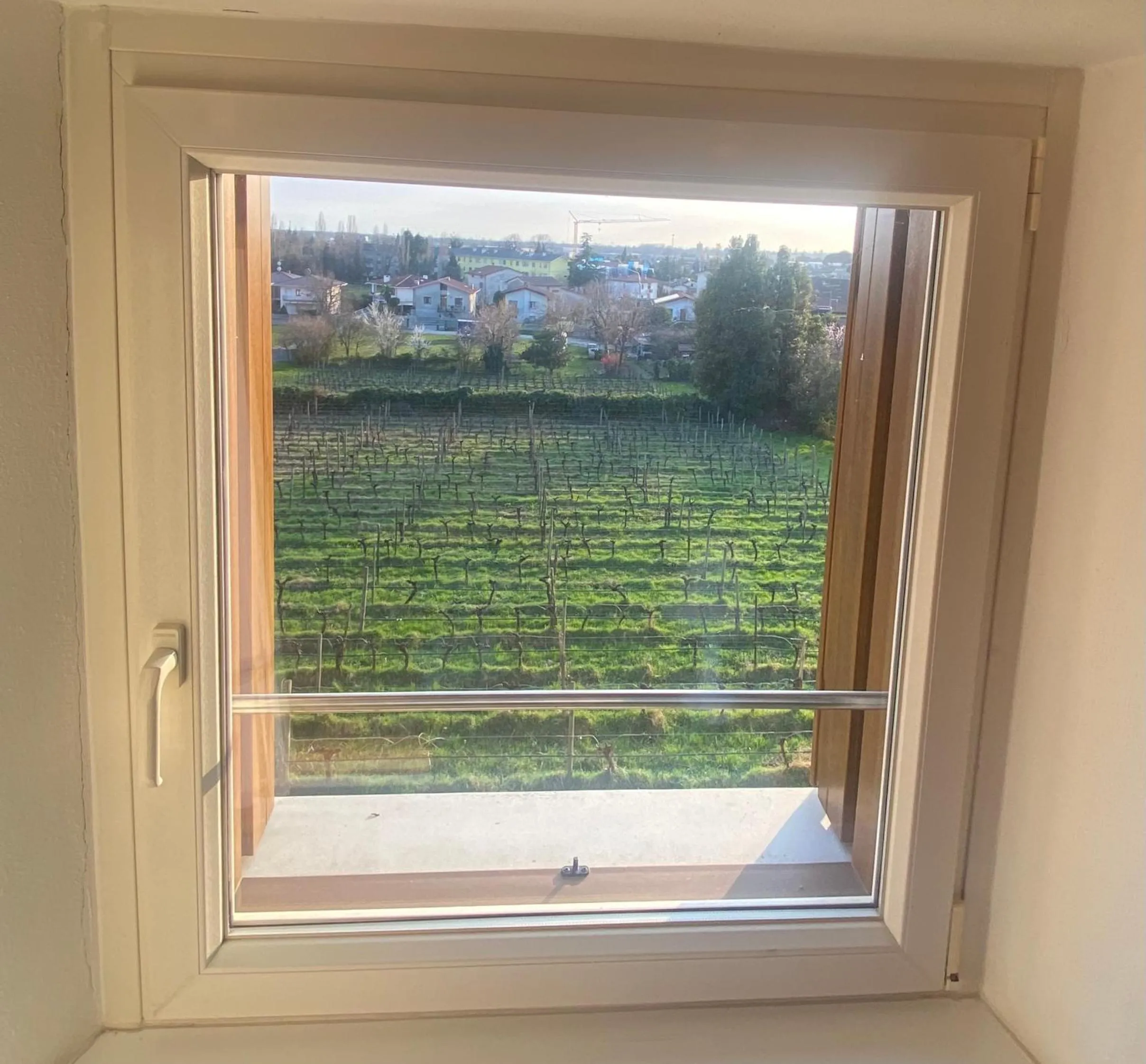 View (from property/room) in Villa Dragoni