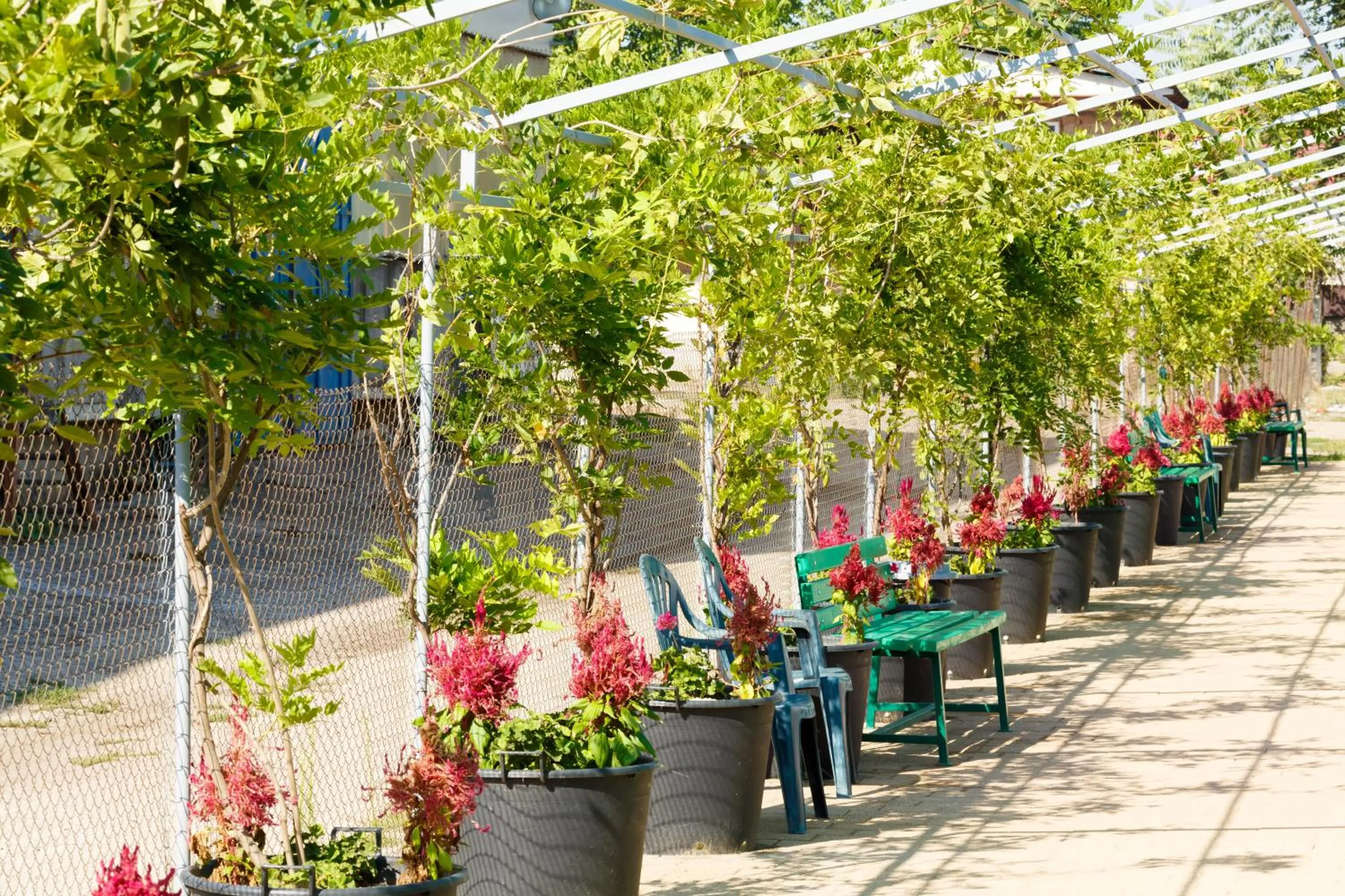 Day in YMY HOTELS Târgu Jiu