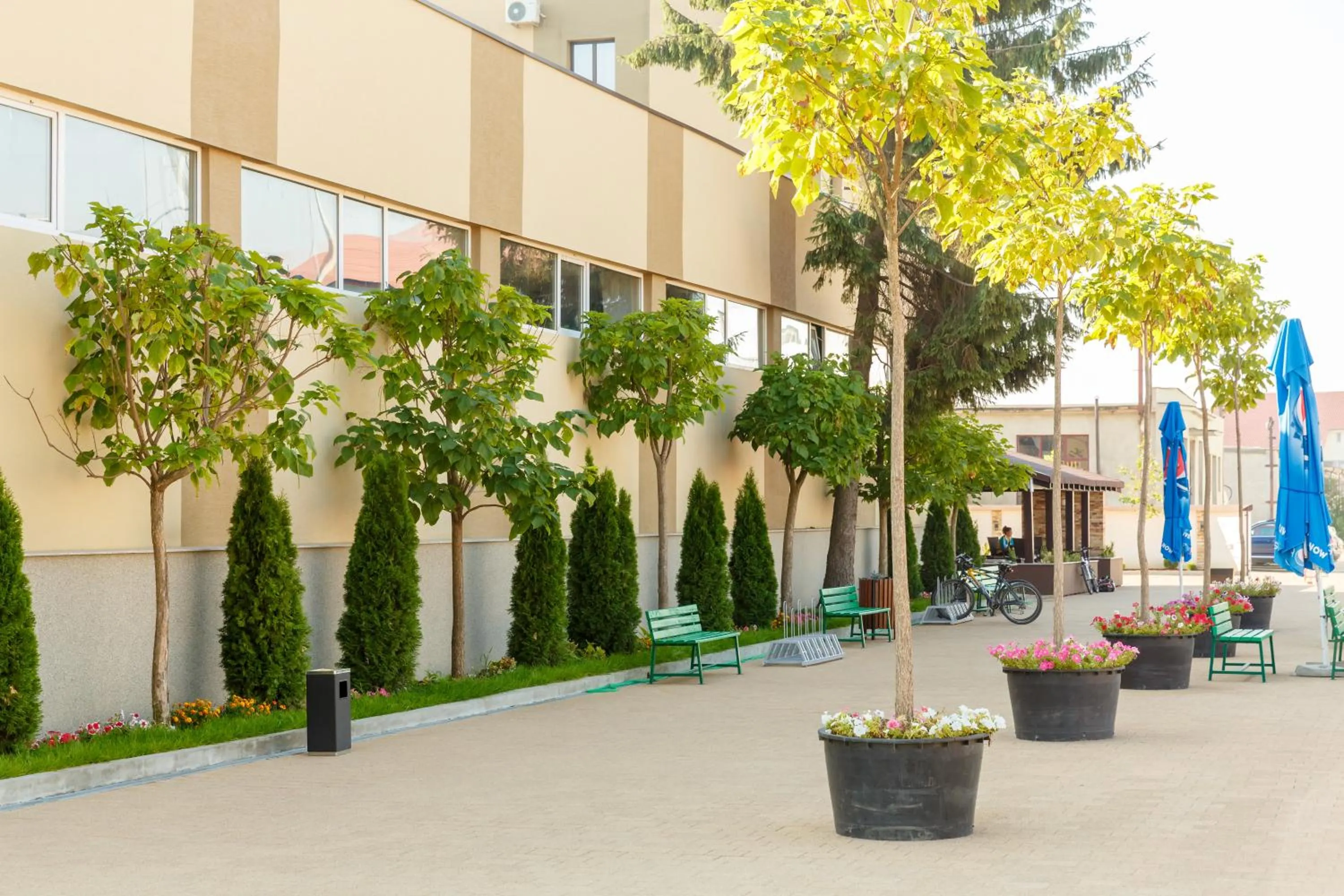 Day in YMY HOTELS Târgu Jiu