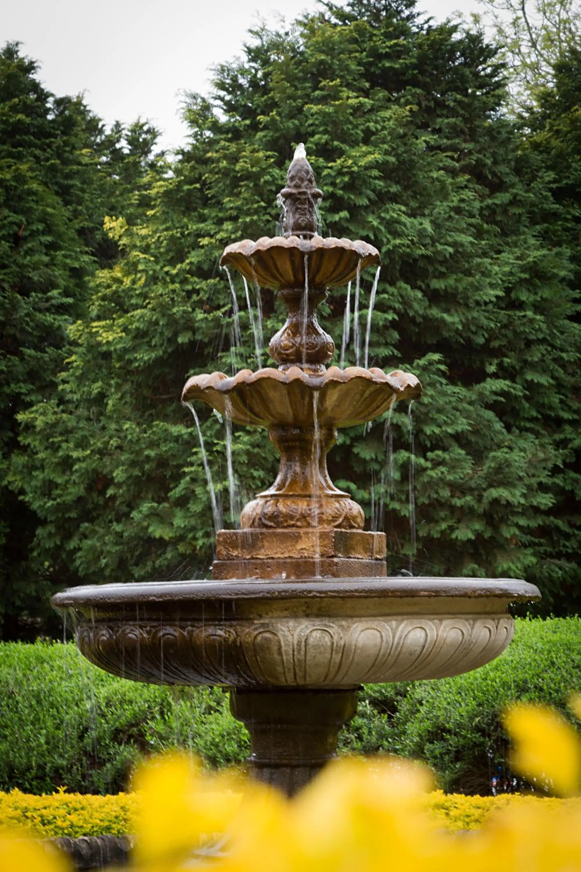 Natural landscape in Valley Lodge