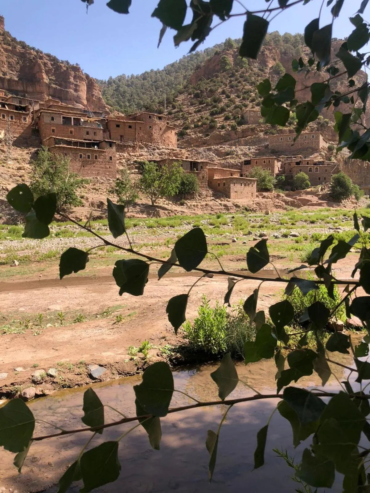 Garden view in Gite Ifoulou Tassaout