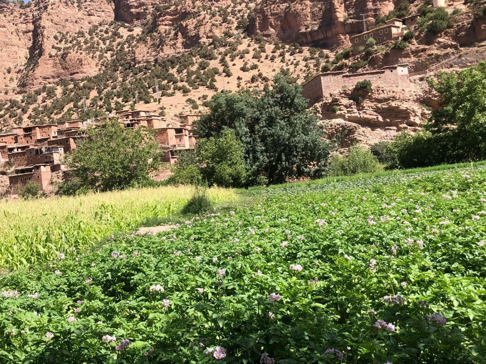 City view in Gite Ifoulou Tassaout