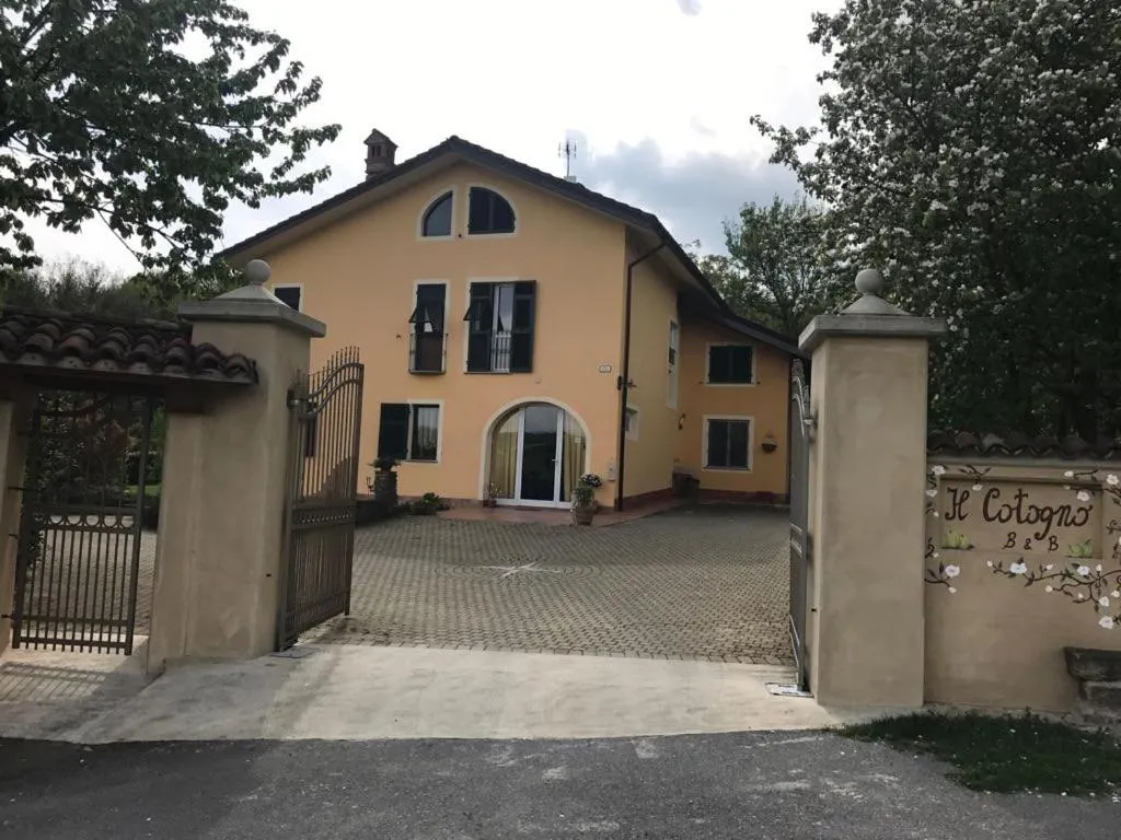 Il cotogno