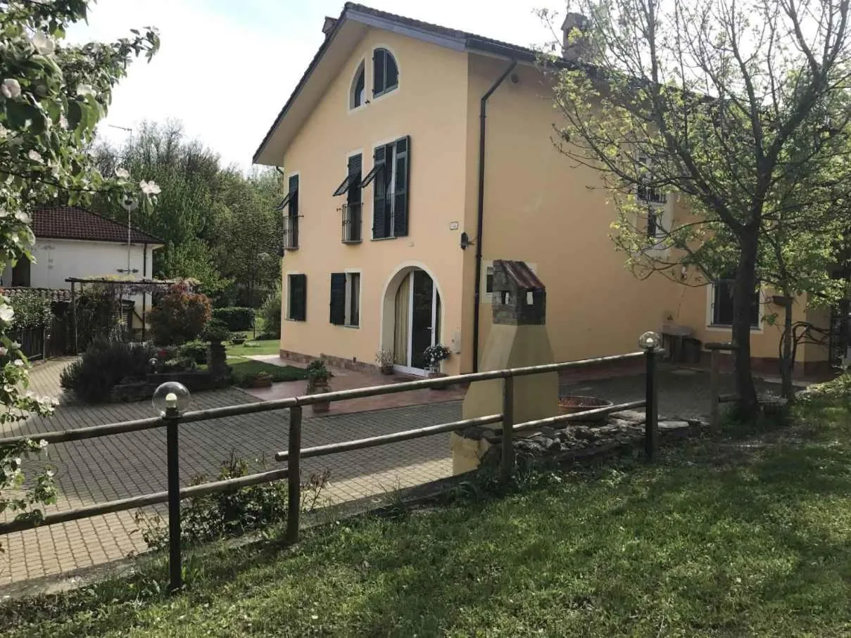 Il cotogno