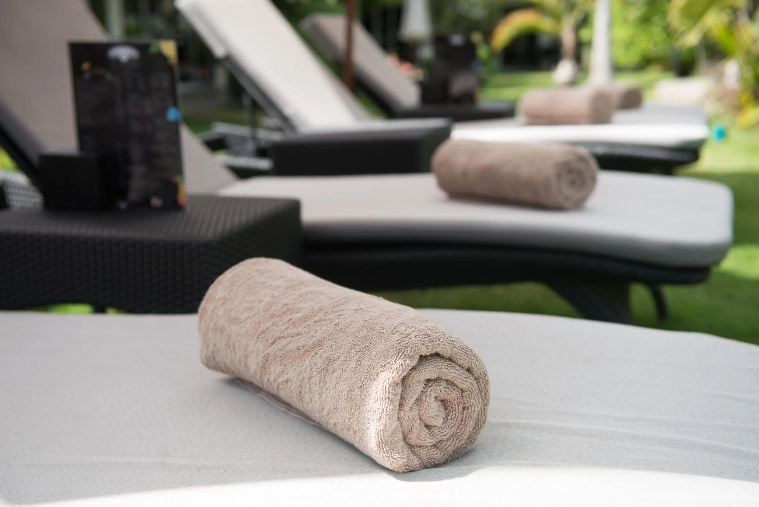 Garden in Alona Royal Palm Resort