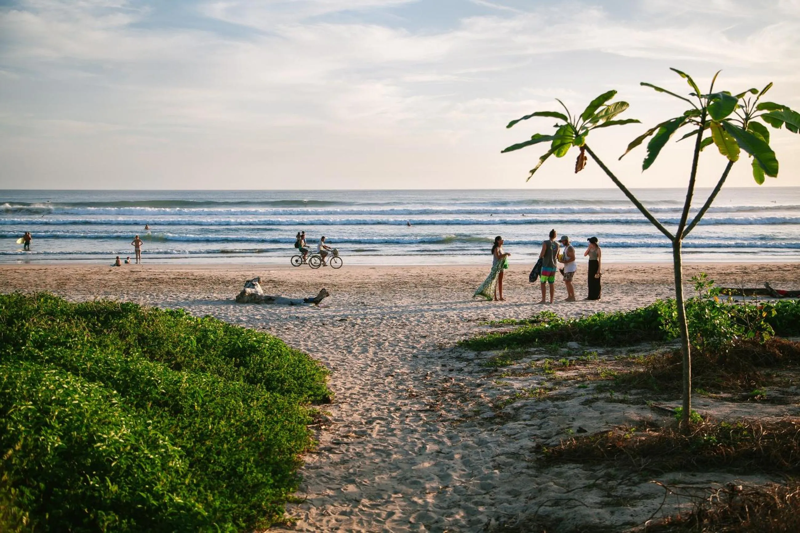 Beach in Olas Verdes Hotel