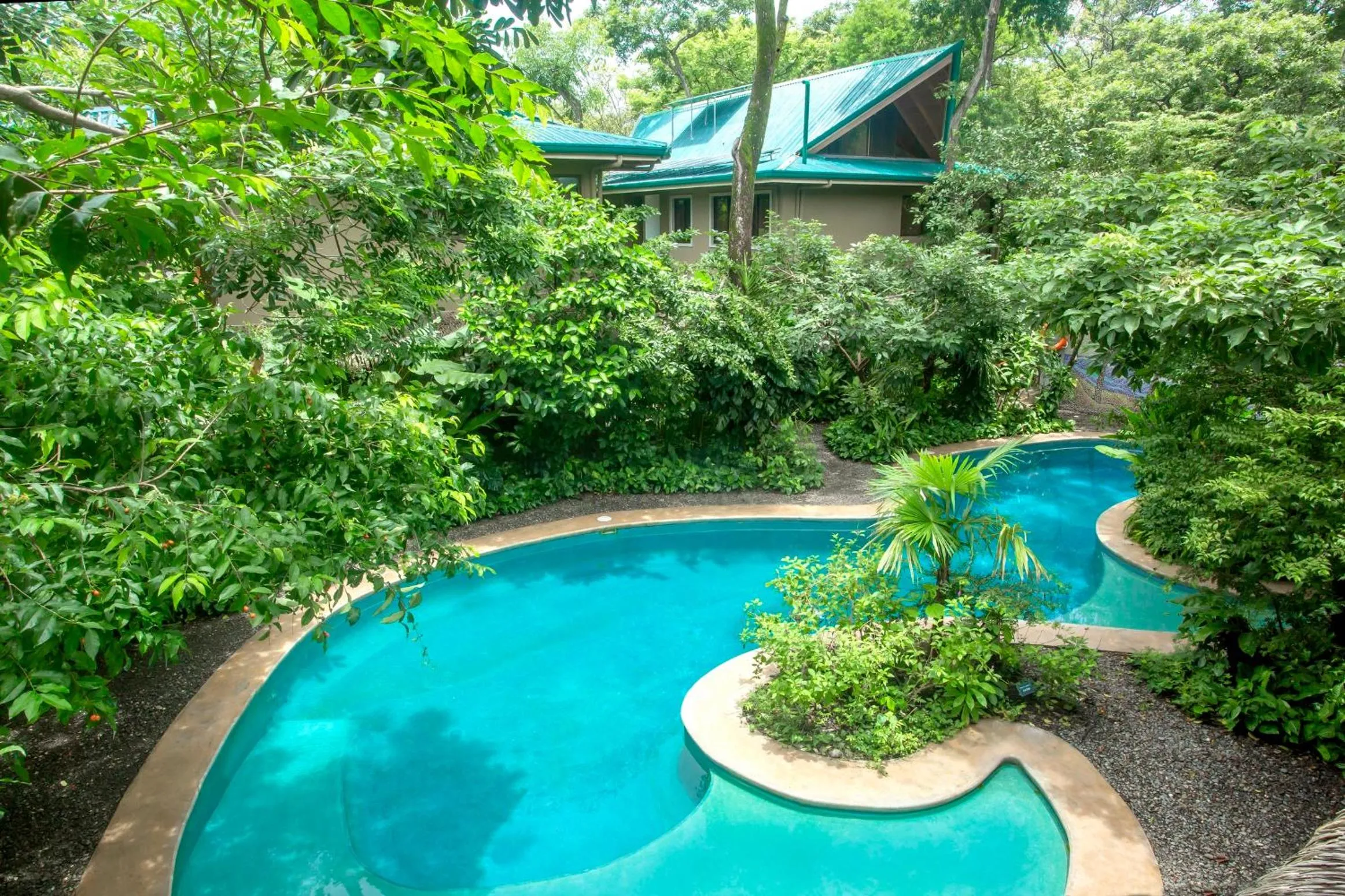 Swimming pool in Olas Verdes Hotel