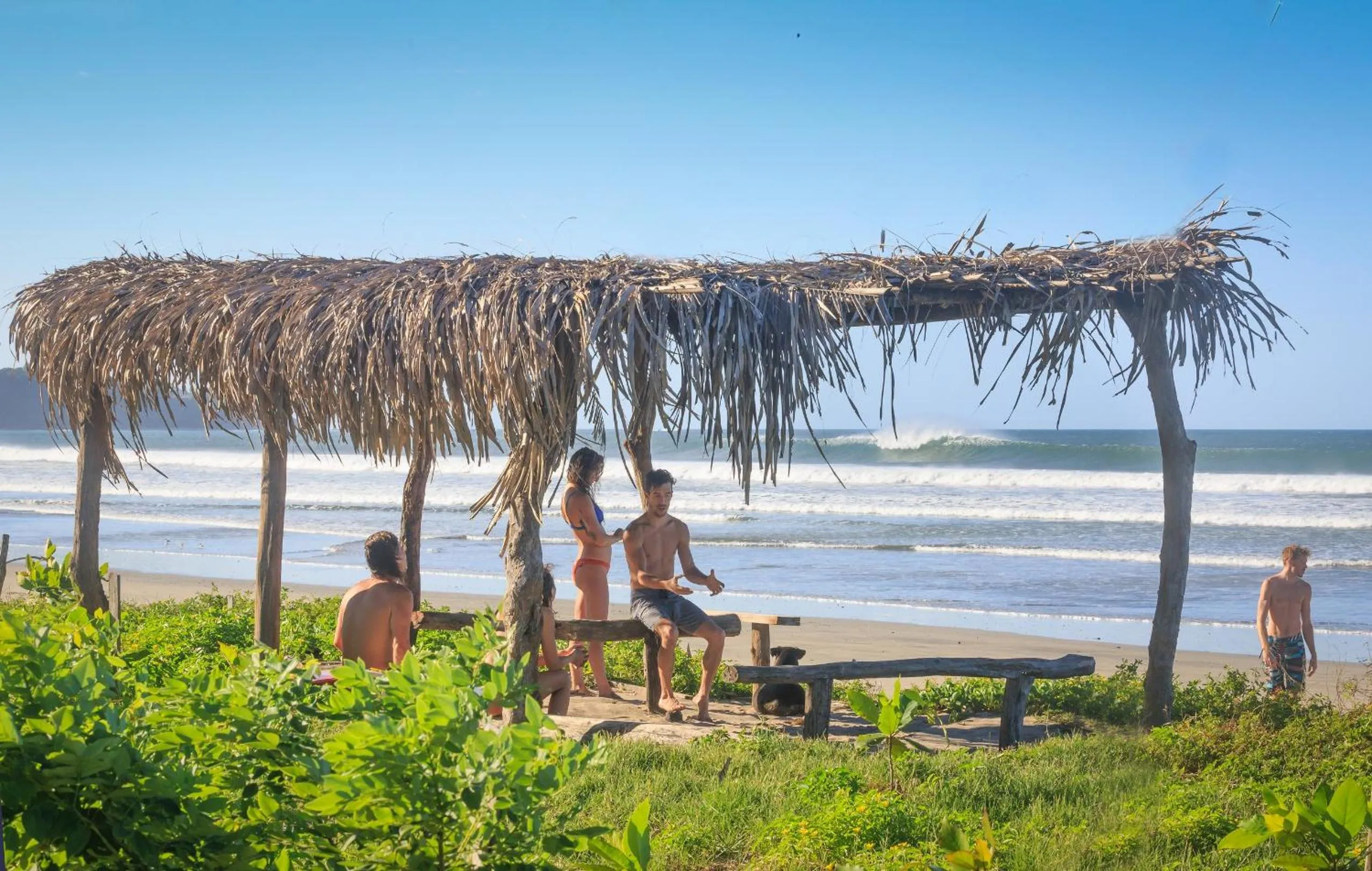 Beach in Olas Verdes Hotel