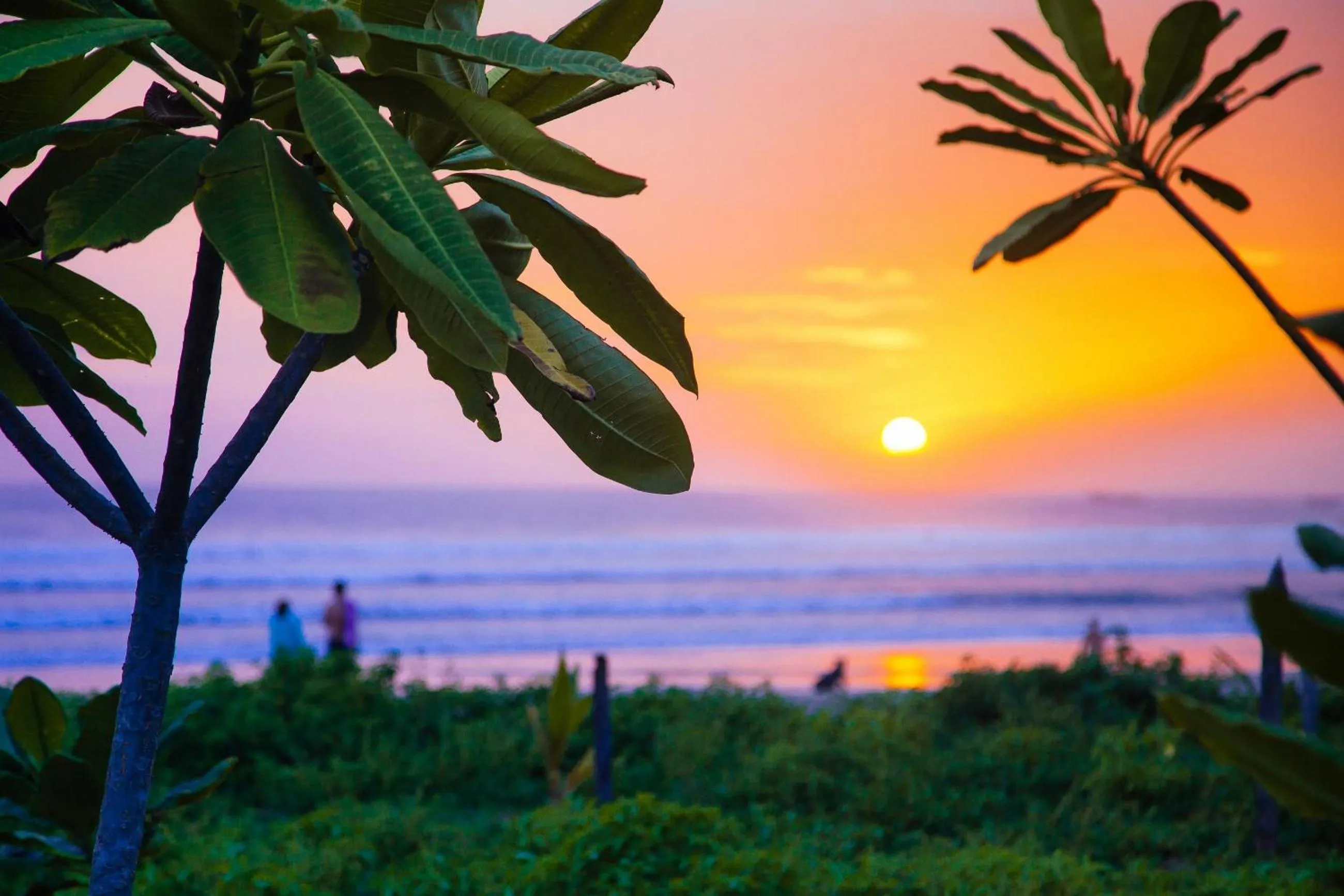 Beach in Olas Verdes Hotel