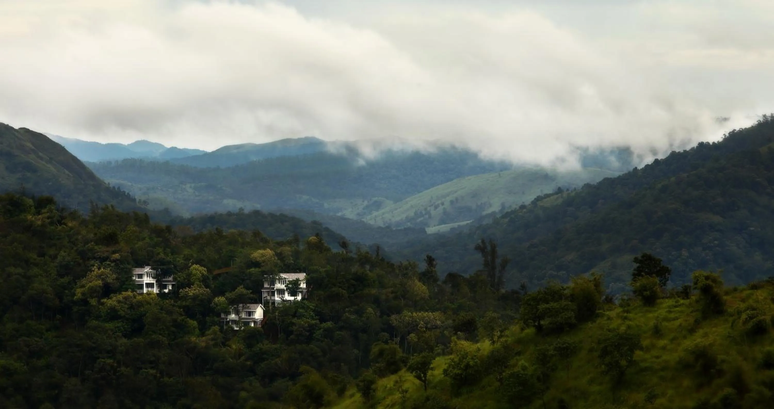 Natural landscape in Hills & Hues