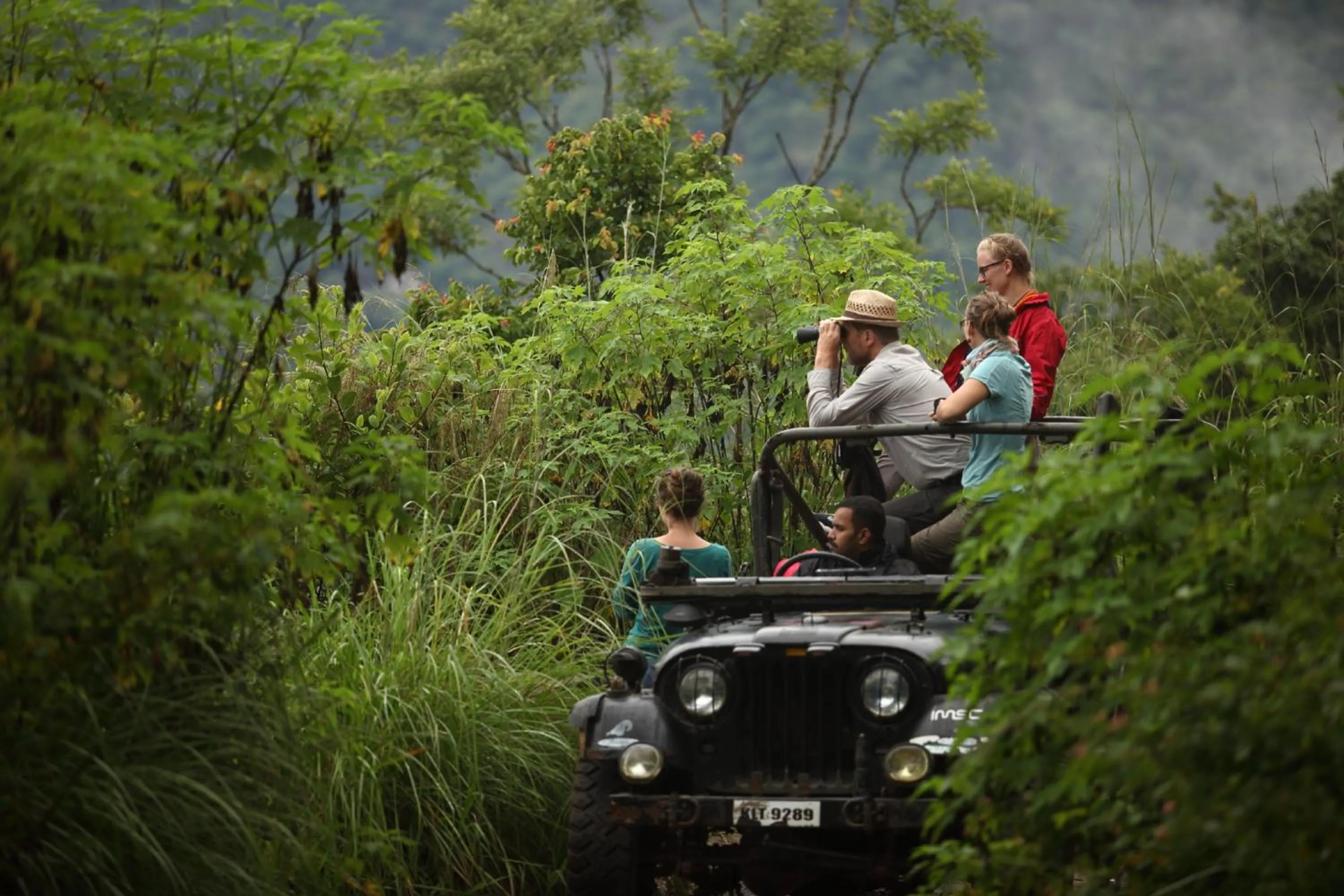 Activities in Hills & Hues