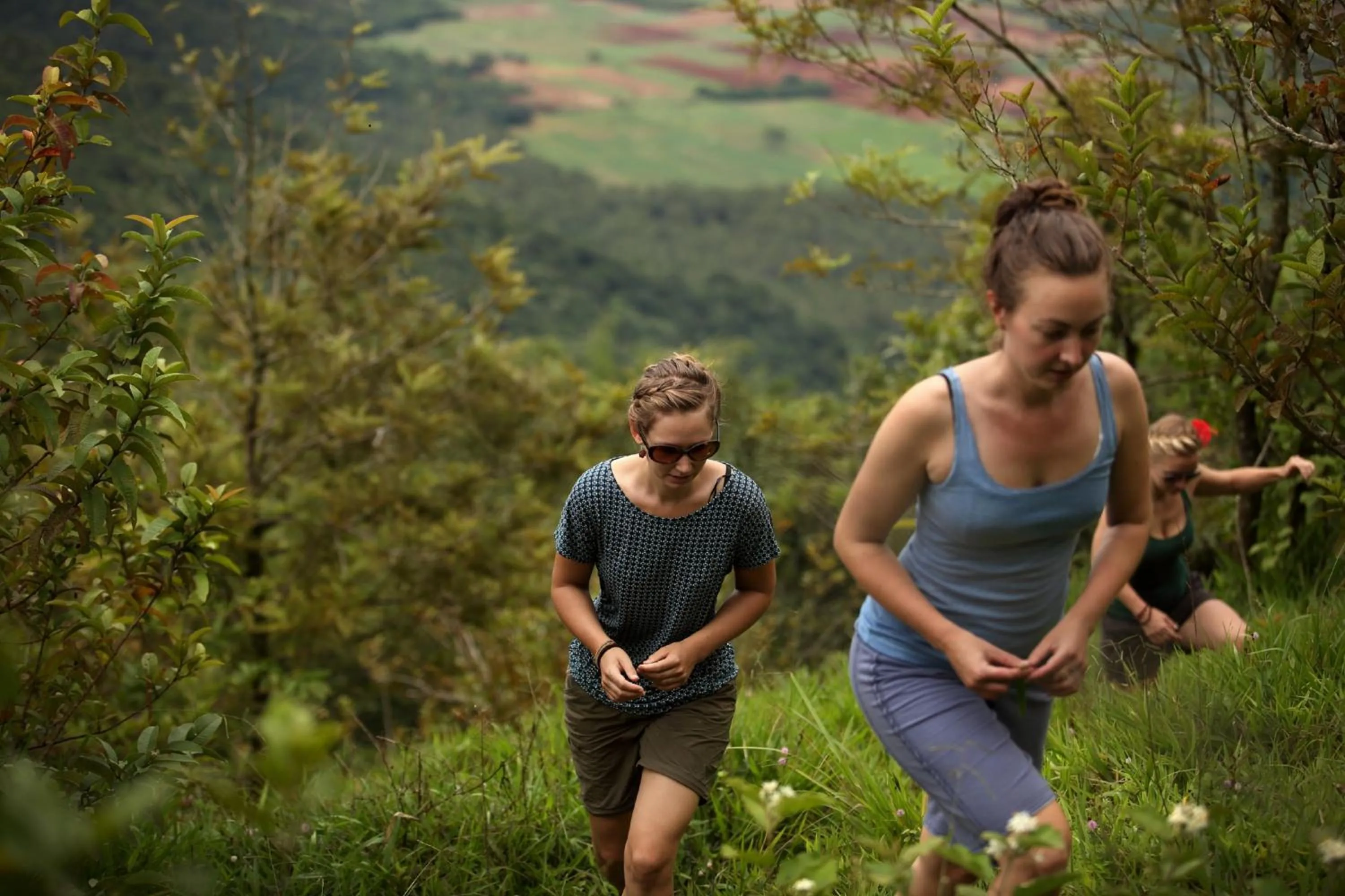 Activities in Hills & Hues