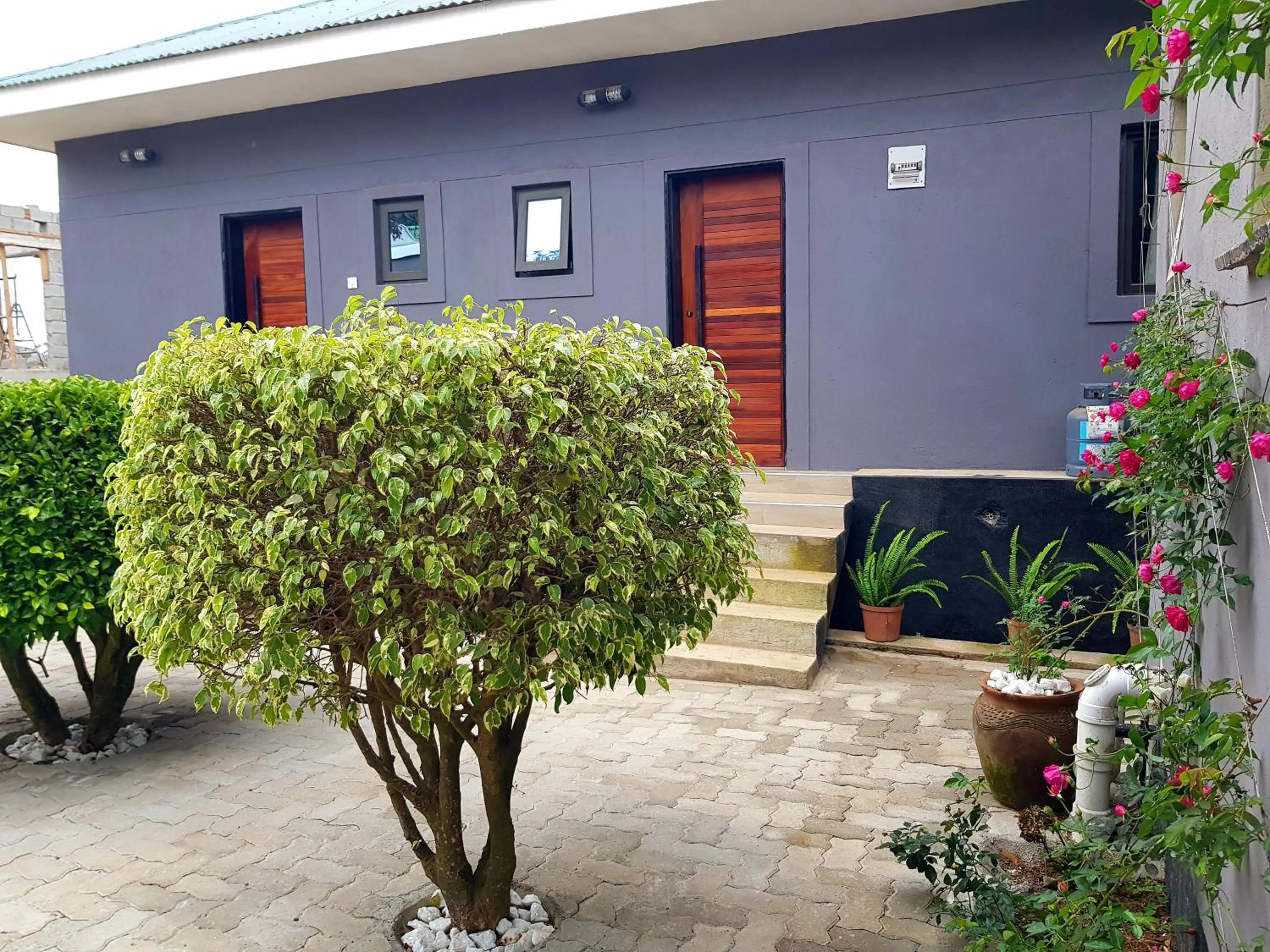 Chinyonga Guesthouse