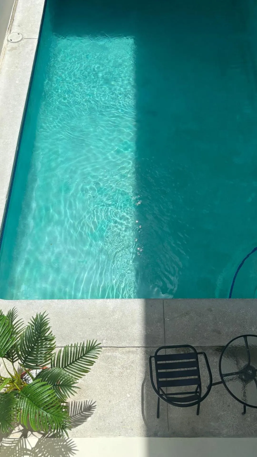 Swimming pool in Hotel Windsor Plaza