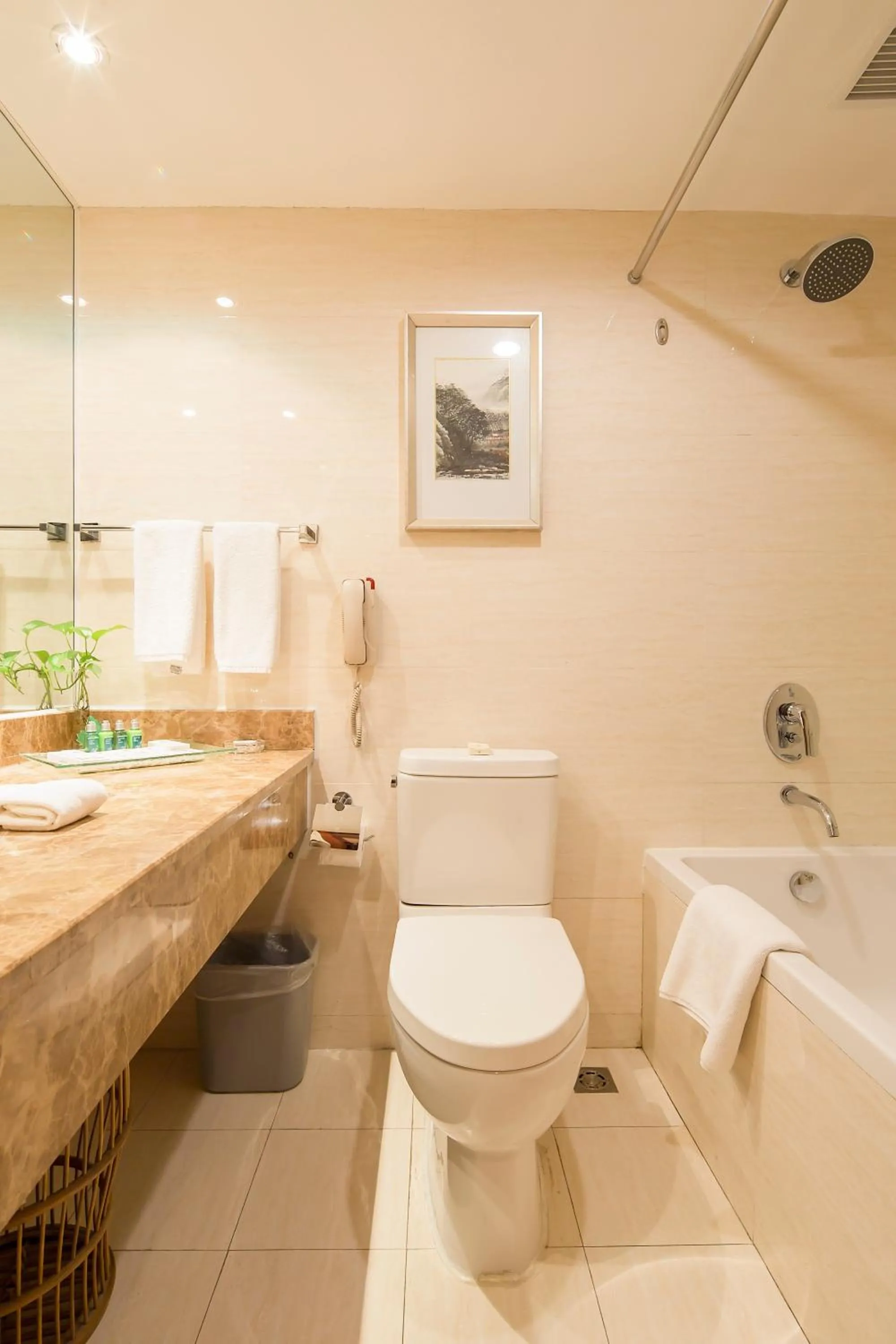 Toilet, Bathroom in Landison Plaza International Hotel