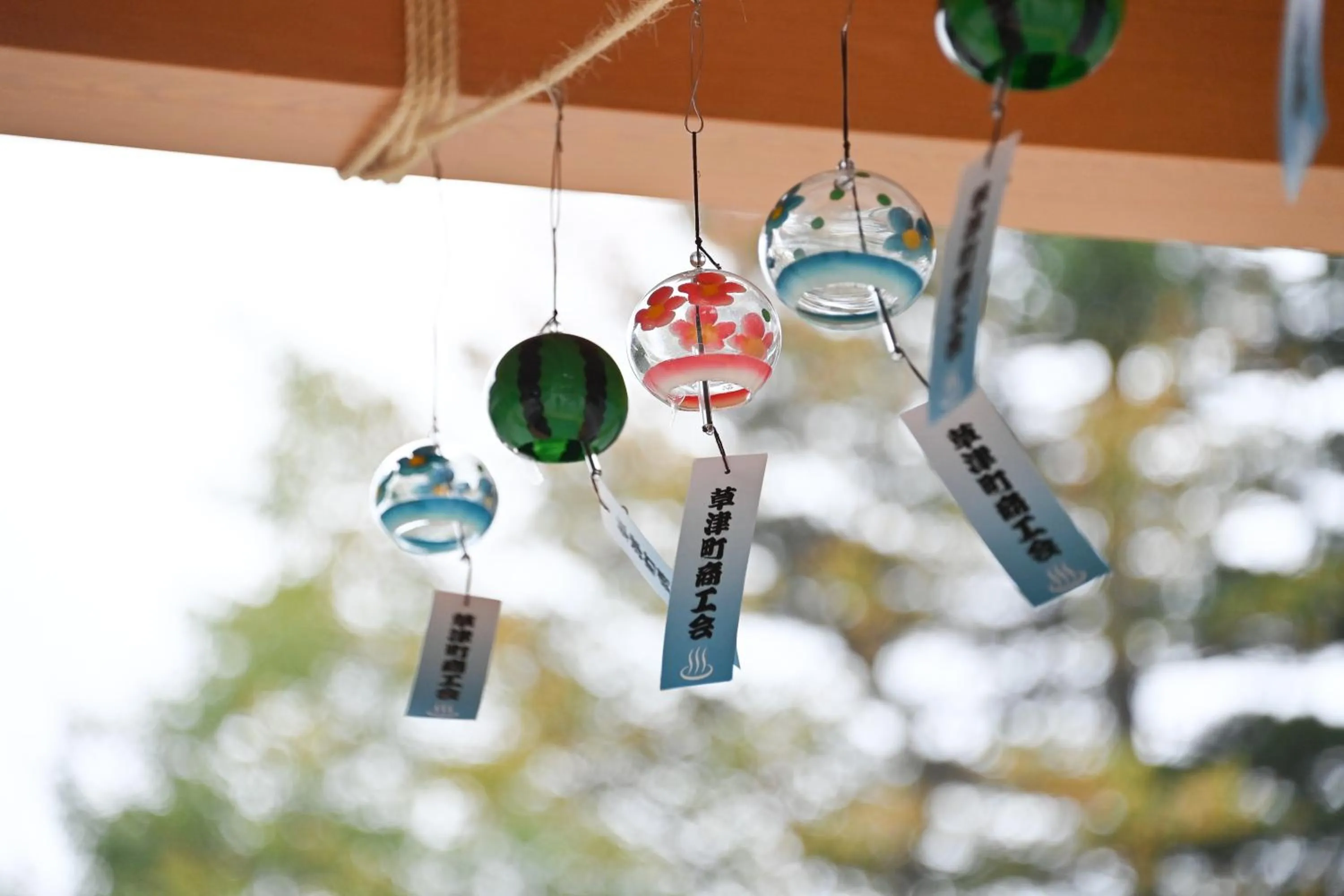 Neighbourhood in Ryokan Tamura