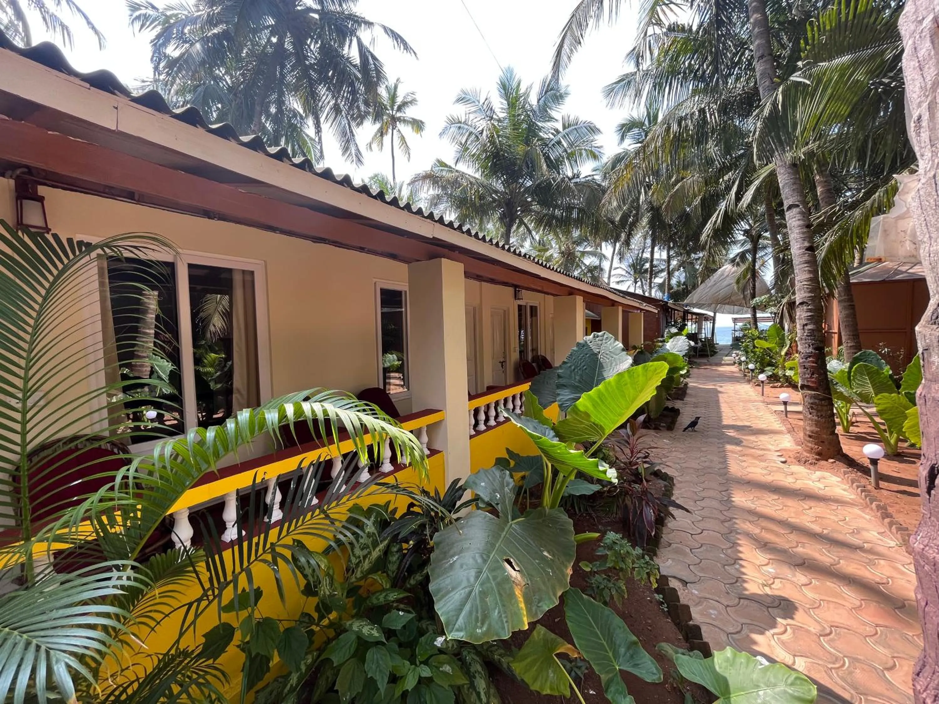 Standard Double Room in Jardim a Mar