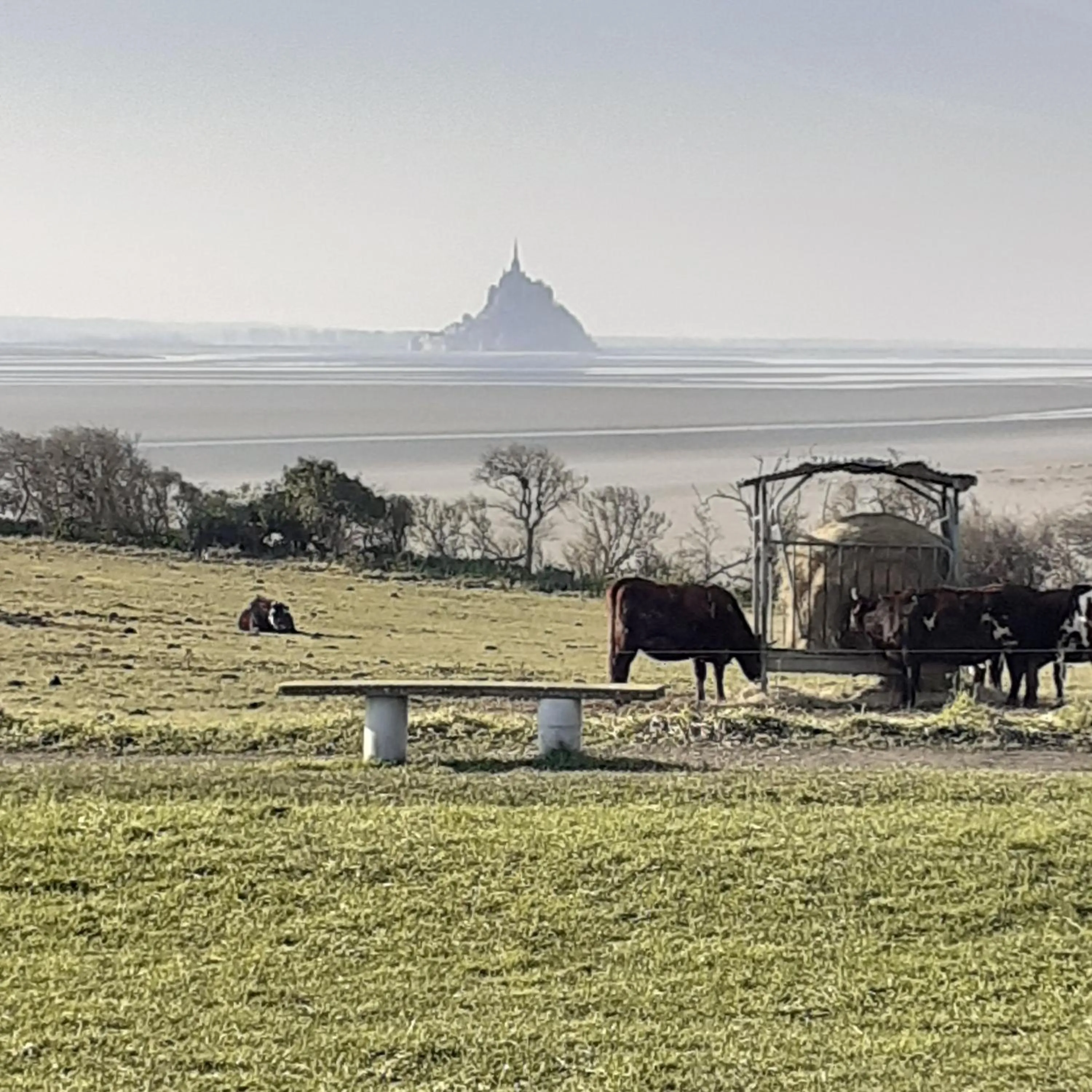 Natural landscape in La Malposte