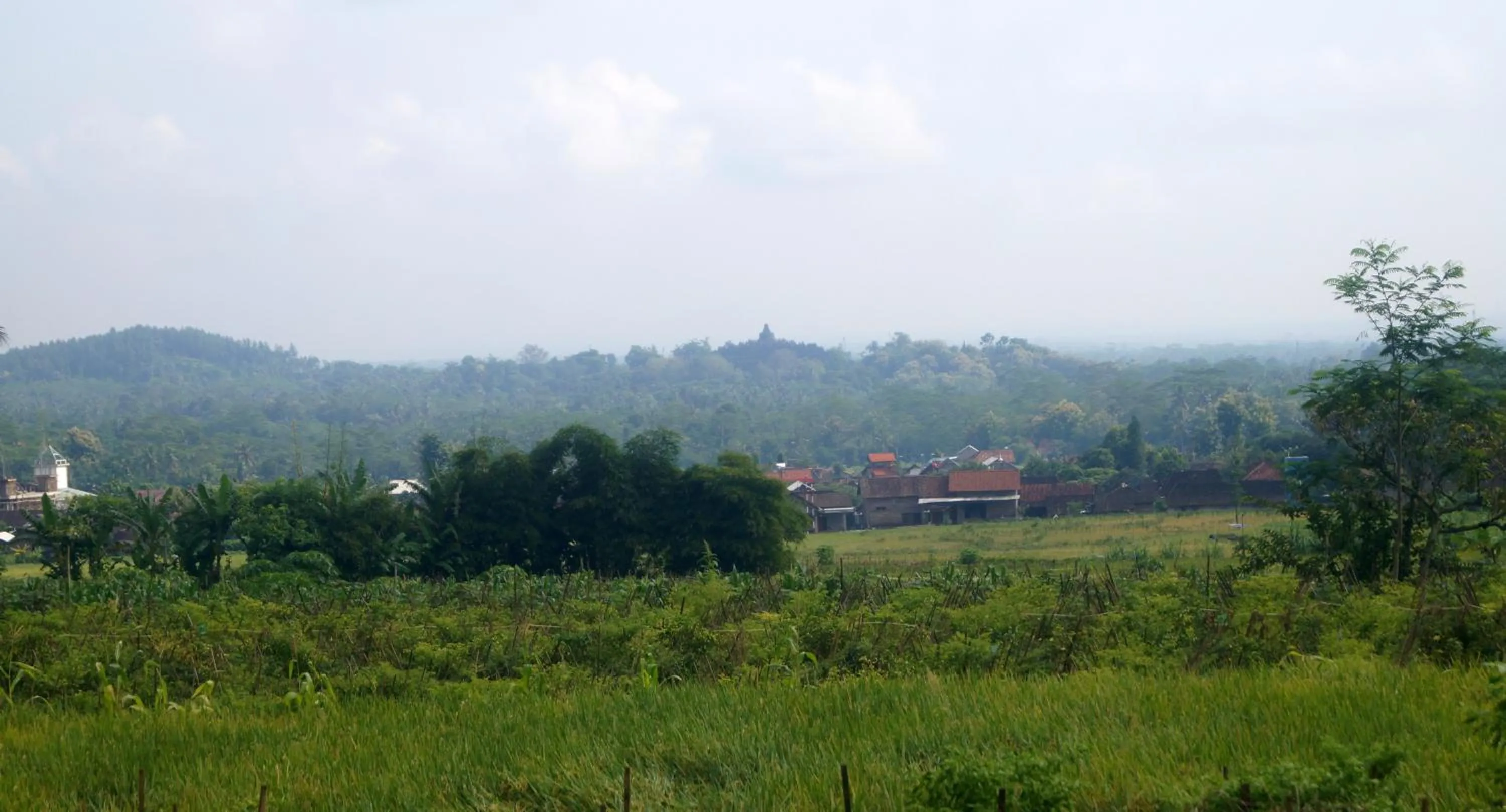 Natural landscape in Griya Harja Homestay
