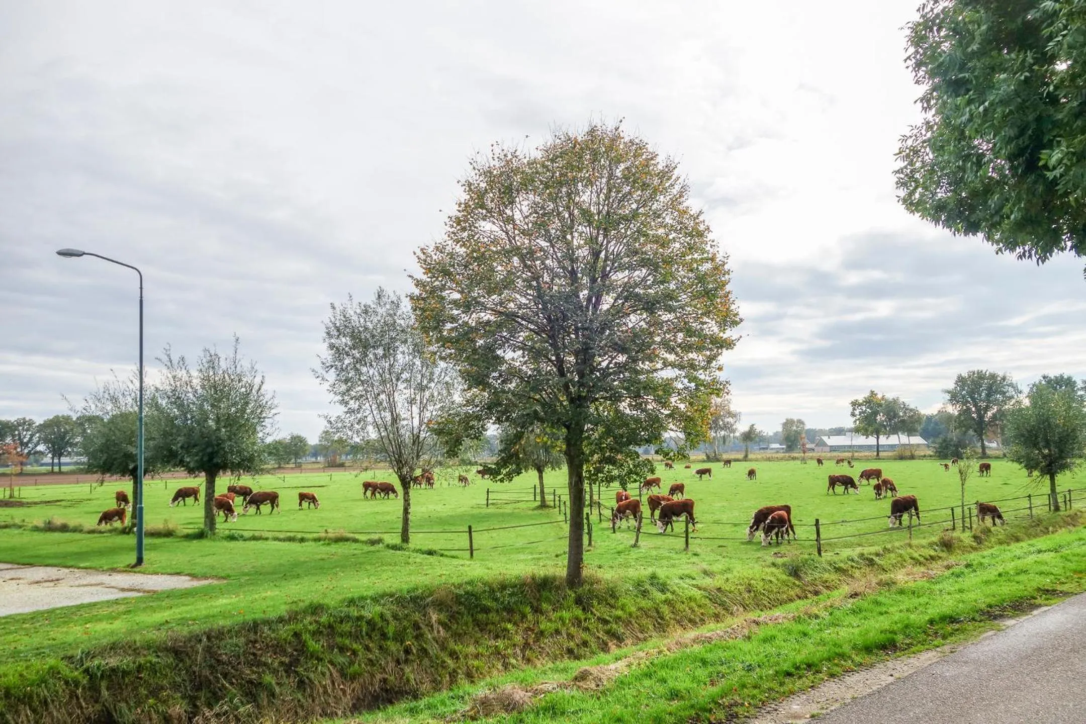 Quiet street view in Boertel Lamperse Hei