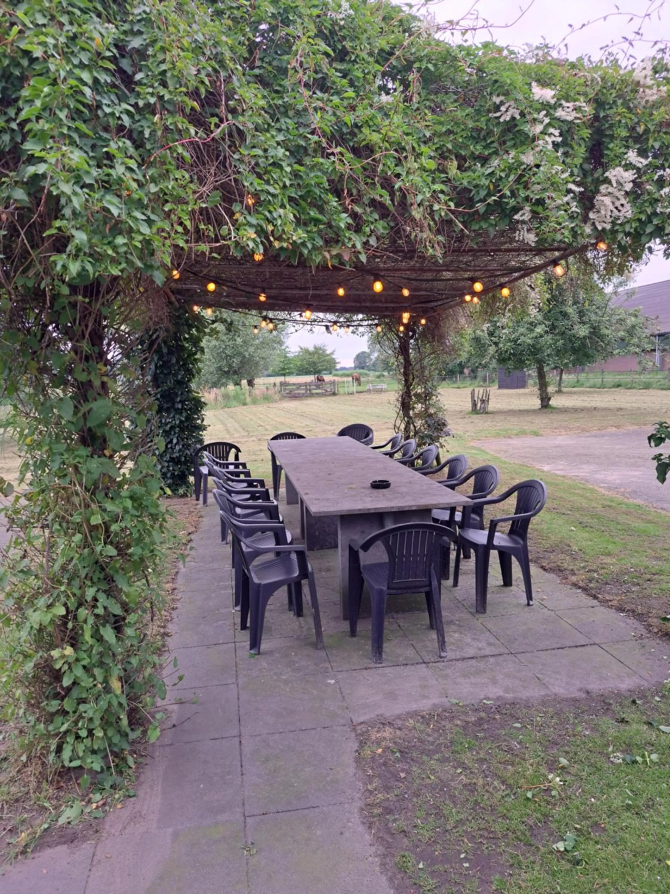 Balcony/Terrace in Boertel Lamperse Hei