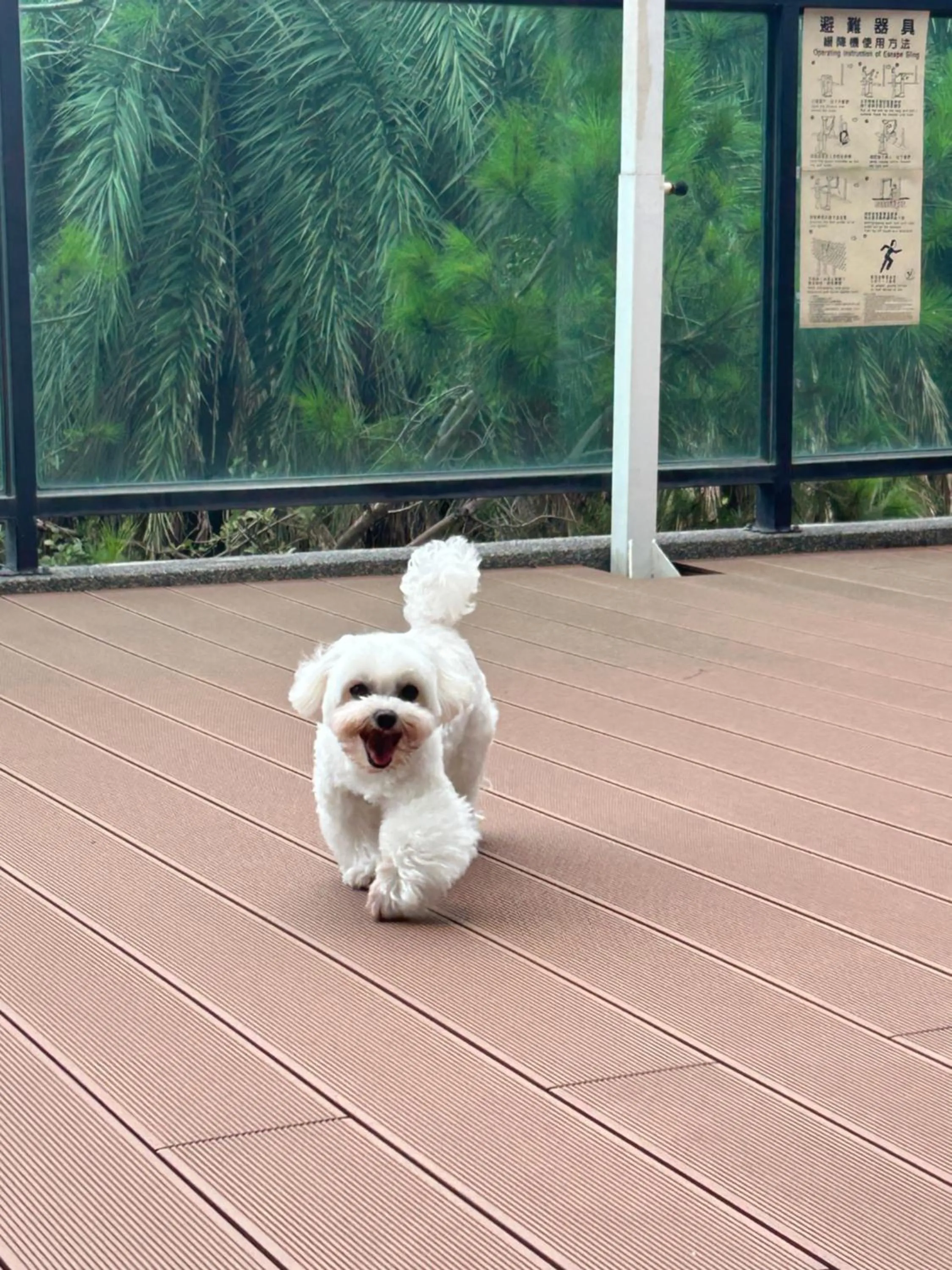 Property building in Taroko Liiko Hotels