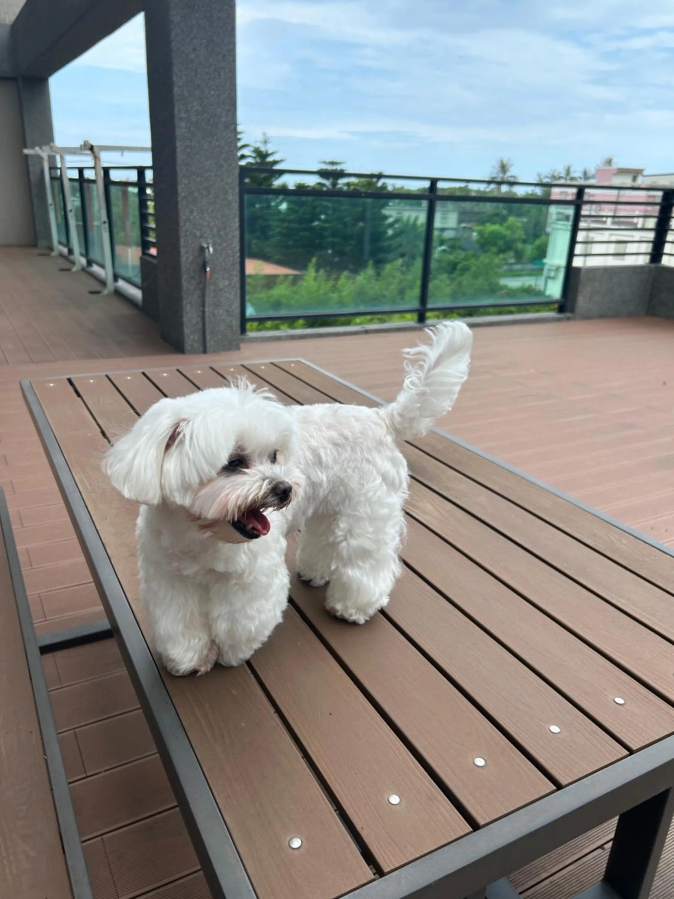 Property building in Taroko Liiko Hotels