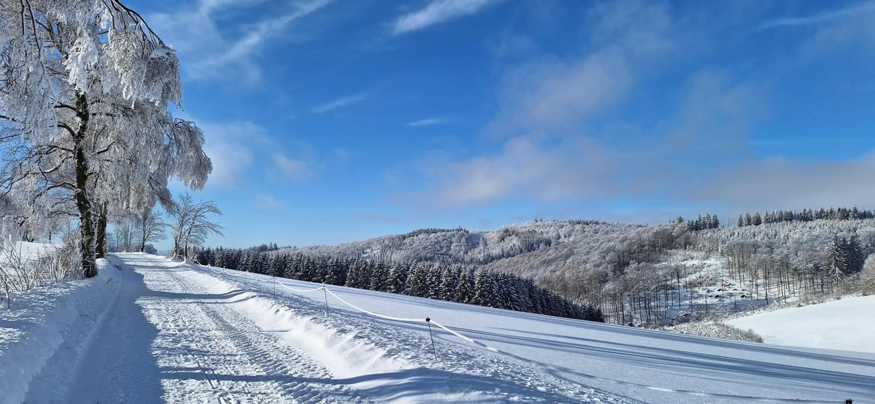Natural landscape in Landhaus Gnacke