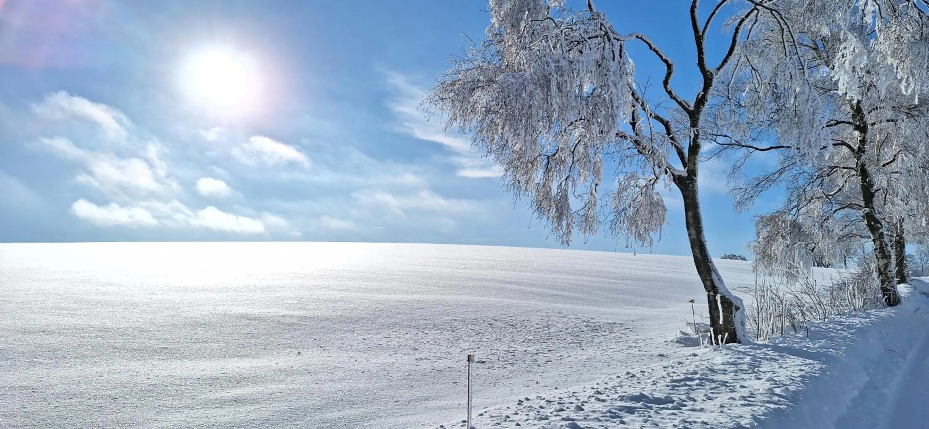 Natural landscape in Landhaus Gnacke