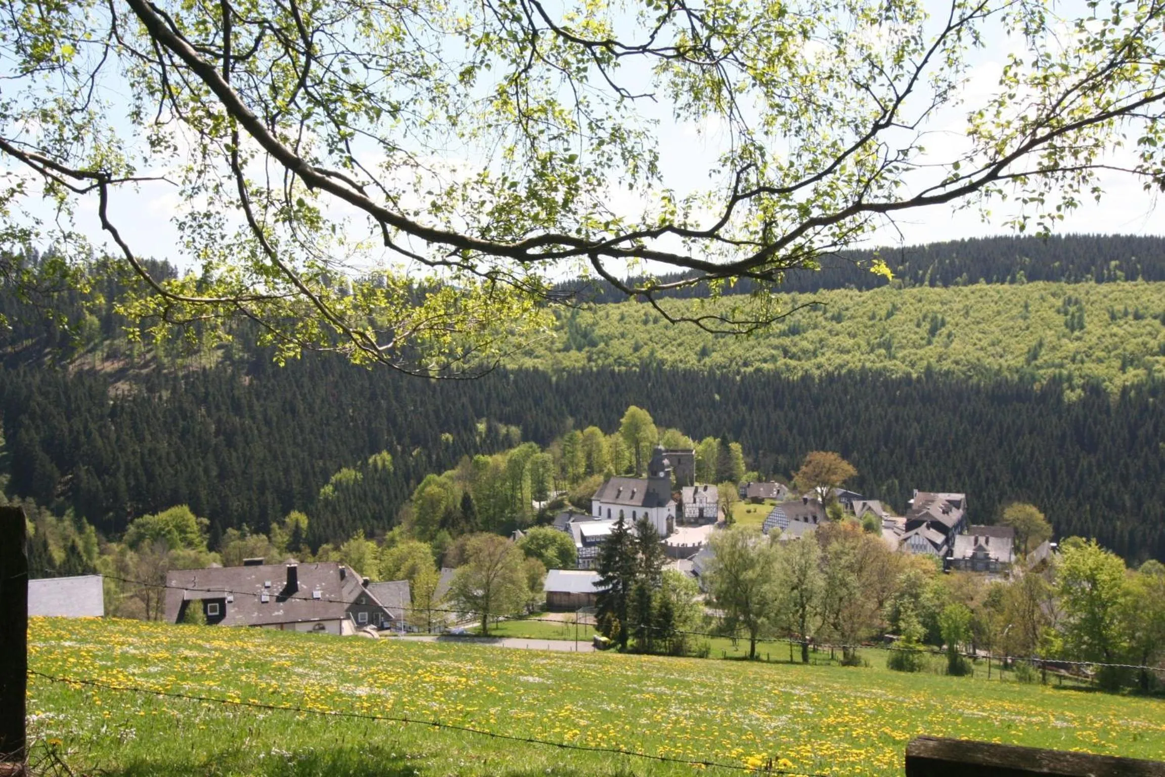 Natural landscape in Landhaus Gnacke