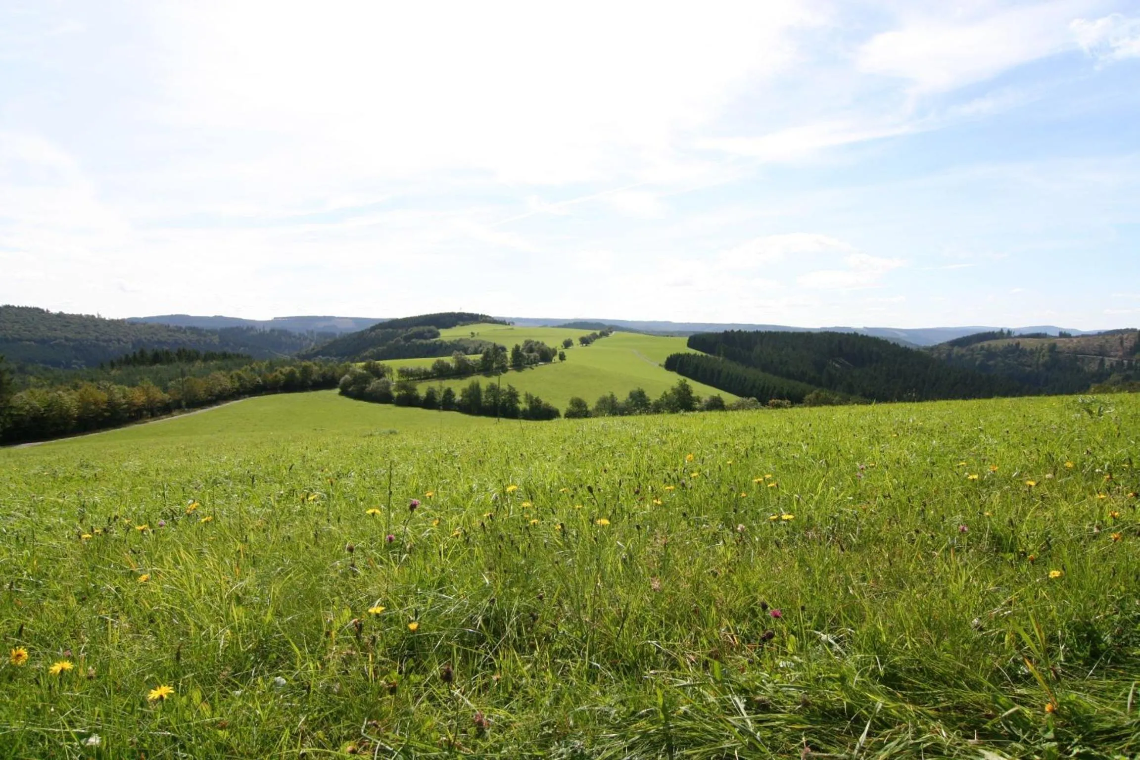 Natural landscape in Landhaus Gnacke