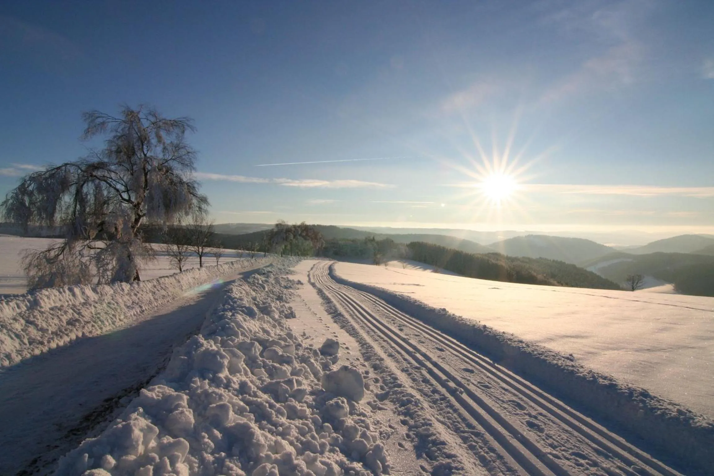 Natural landscape in Landhaus Gnacke