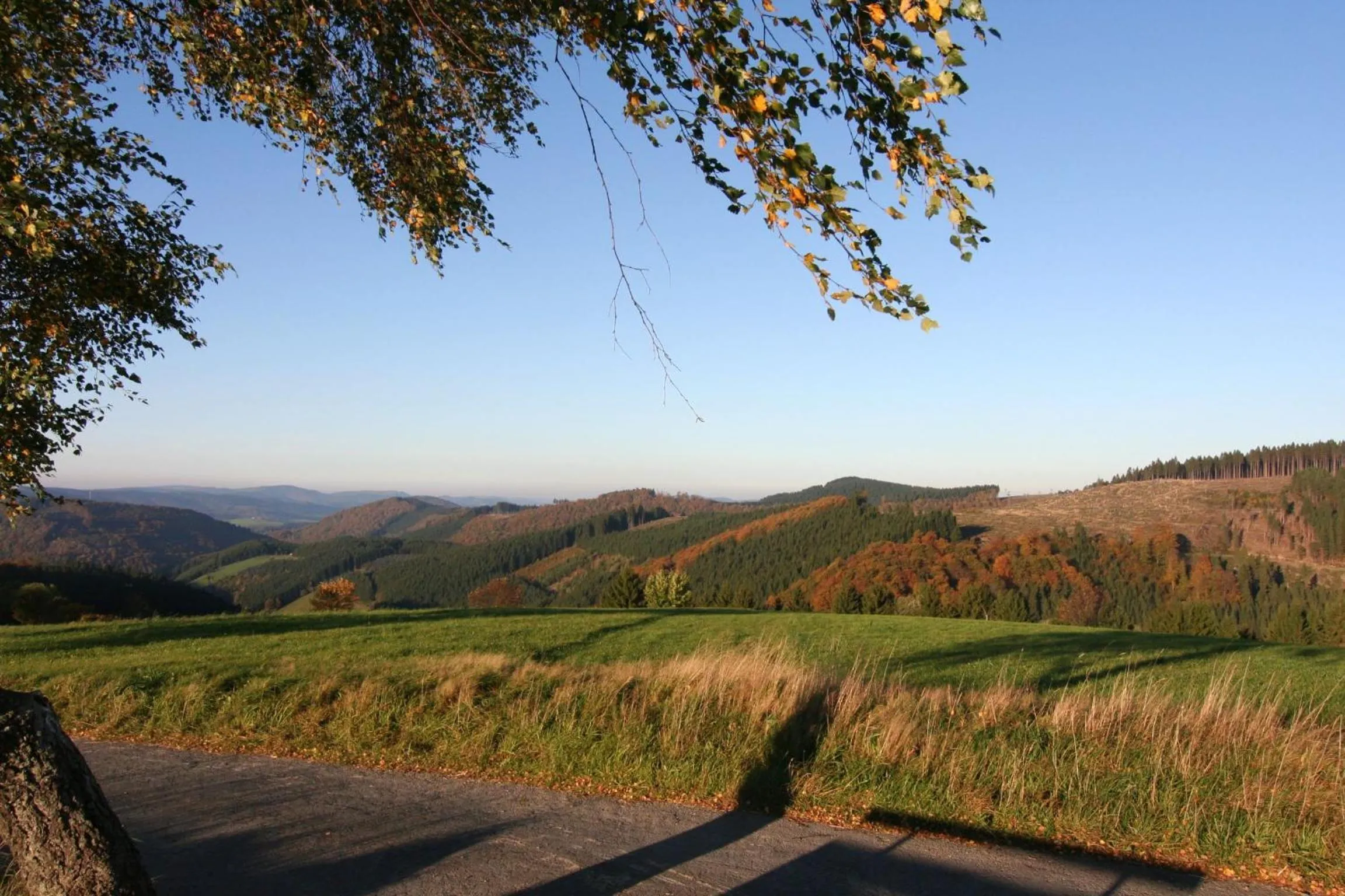 Natural landscape in Landhaus Gnacke