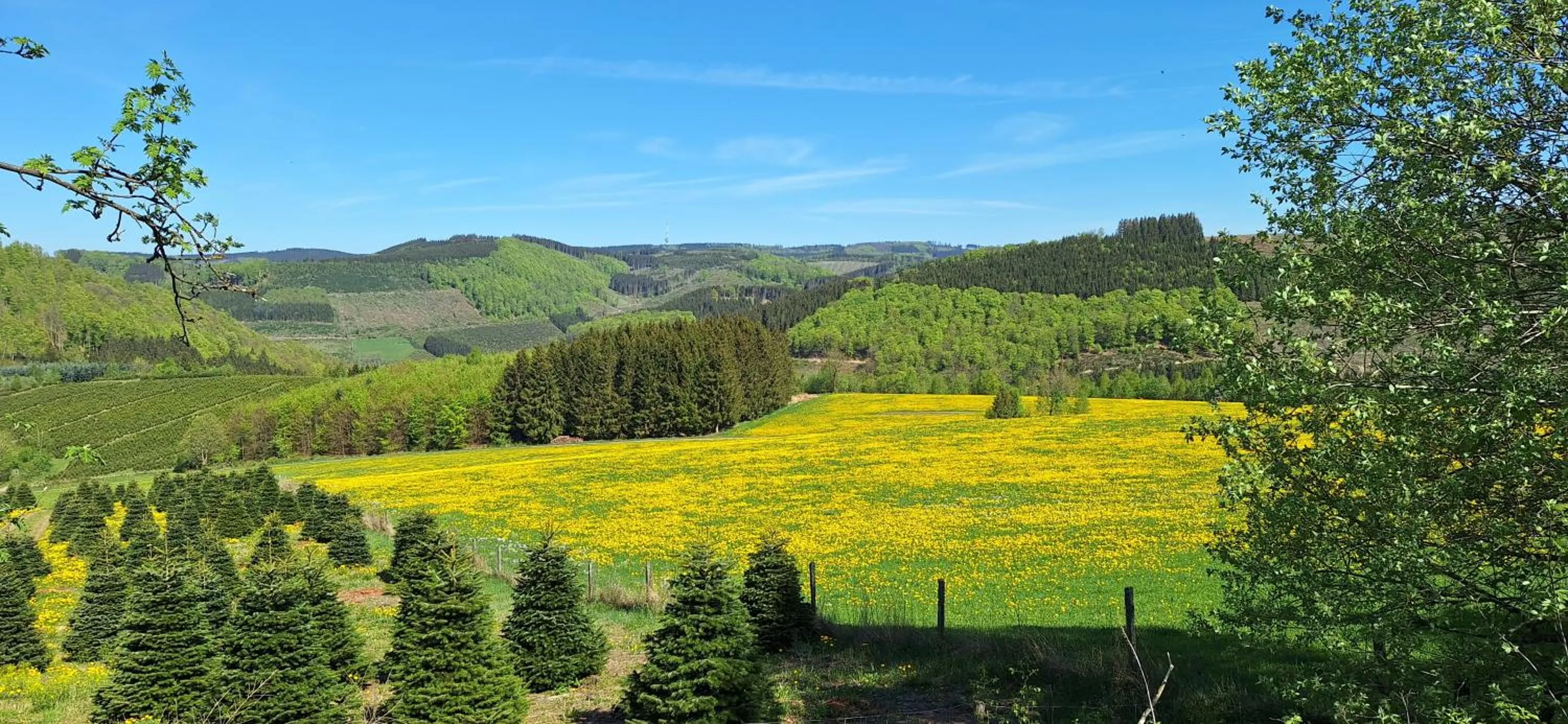 Natural landscape in Landhaus Gnacke