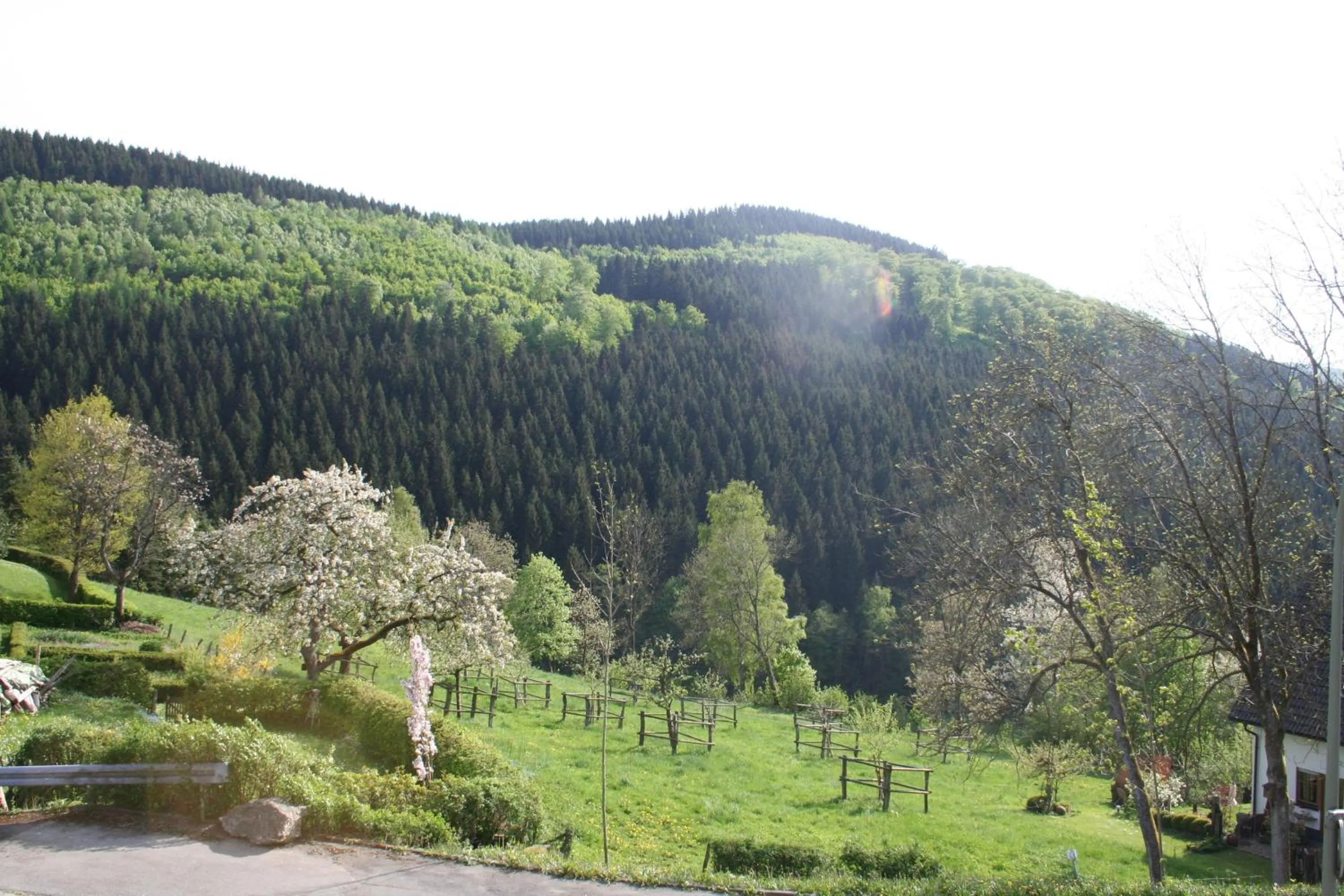 View (from property/room) in Landhaus Gnacke