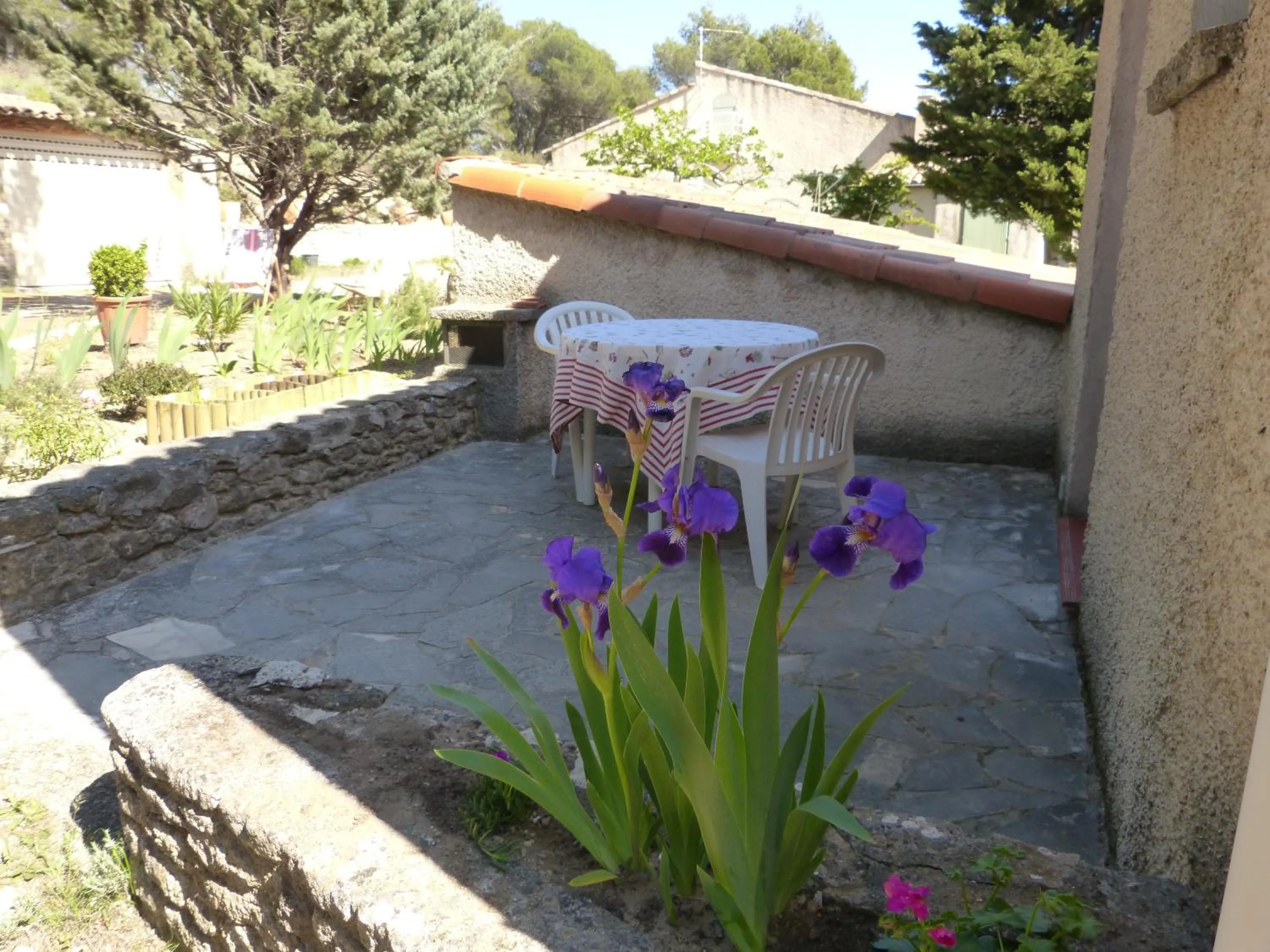 Garden view in La Petite Maison de Marie Louise