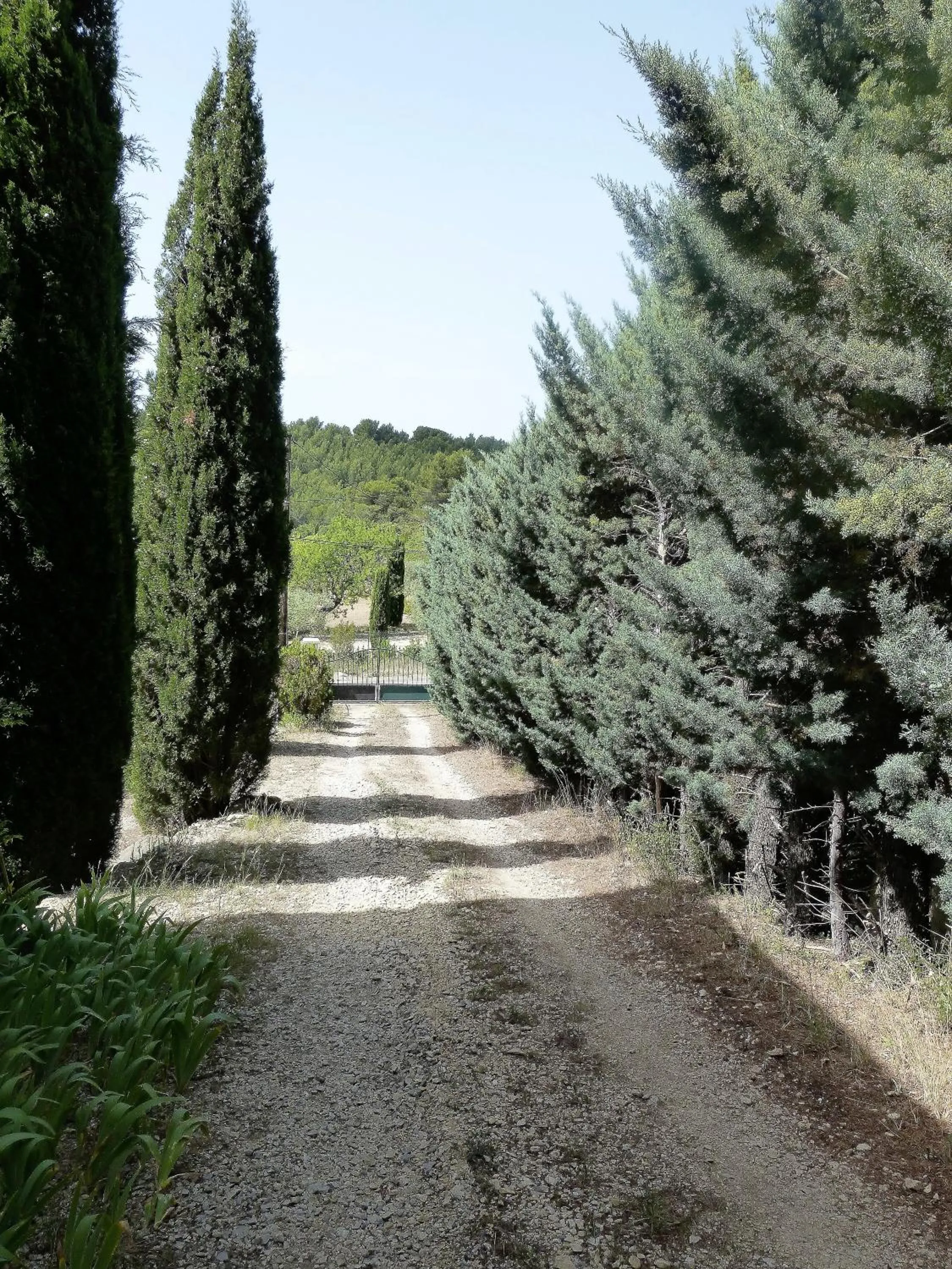 Day in La Petite Maison de Marie Louise