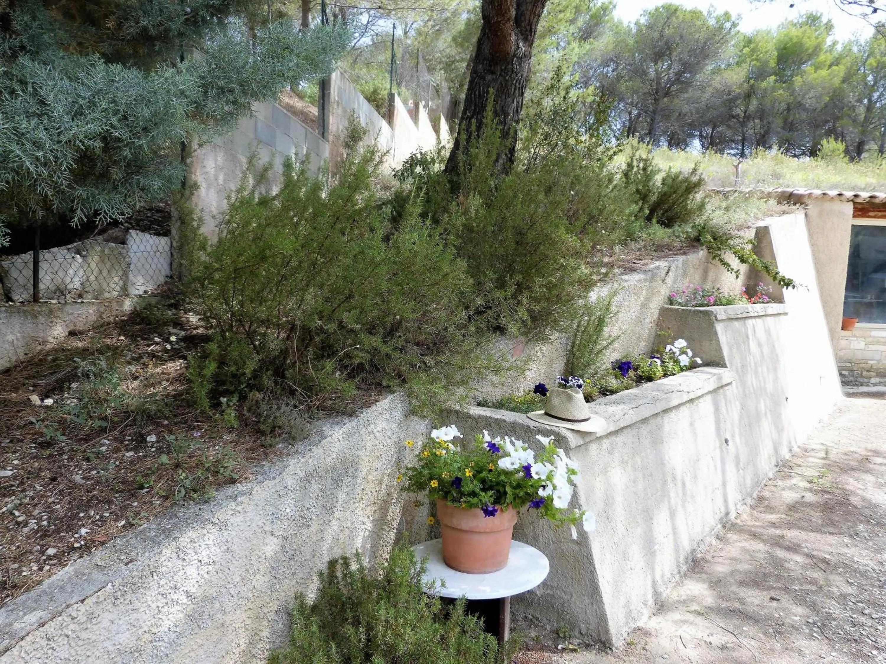 Garden view in La Petite Maison de Marie Louise