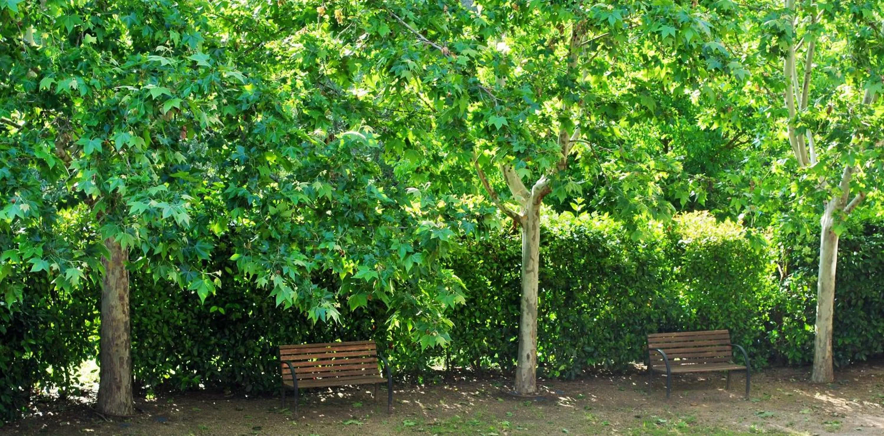 Garden in Masia El Canalot - Molí Del Pont