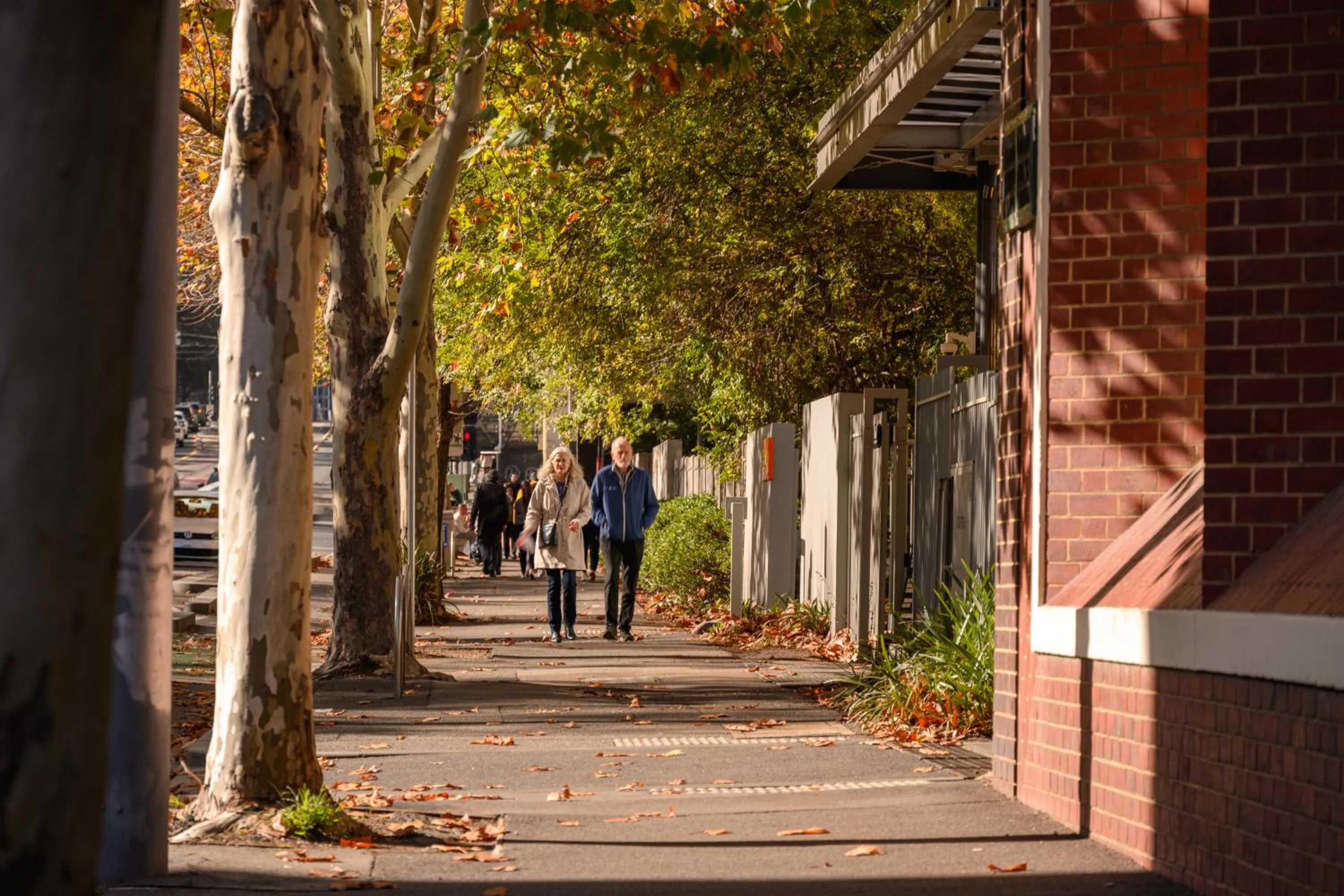 Other in Mercure Melbourne La Trobe Street