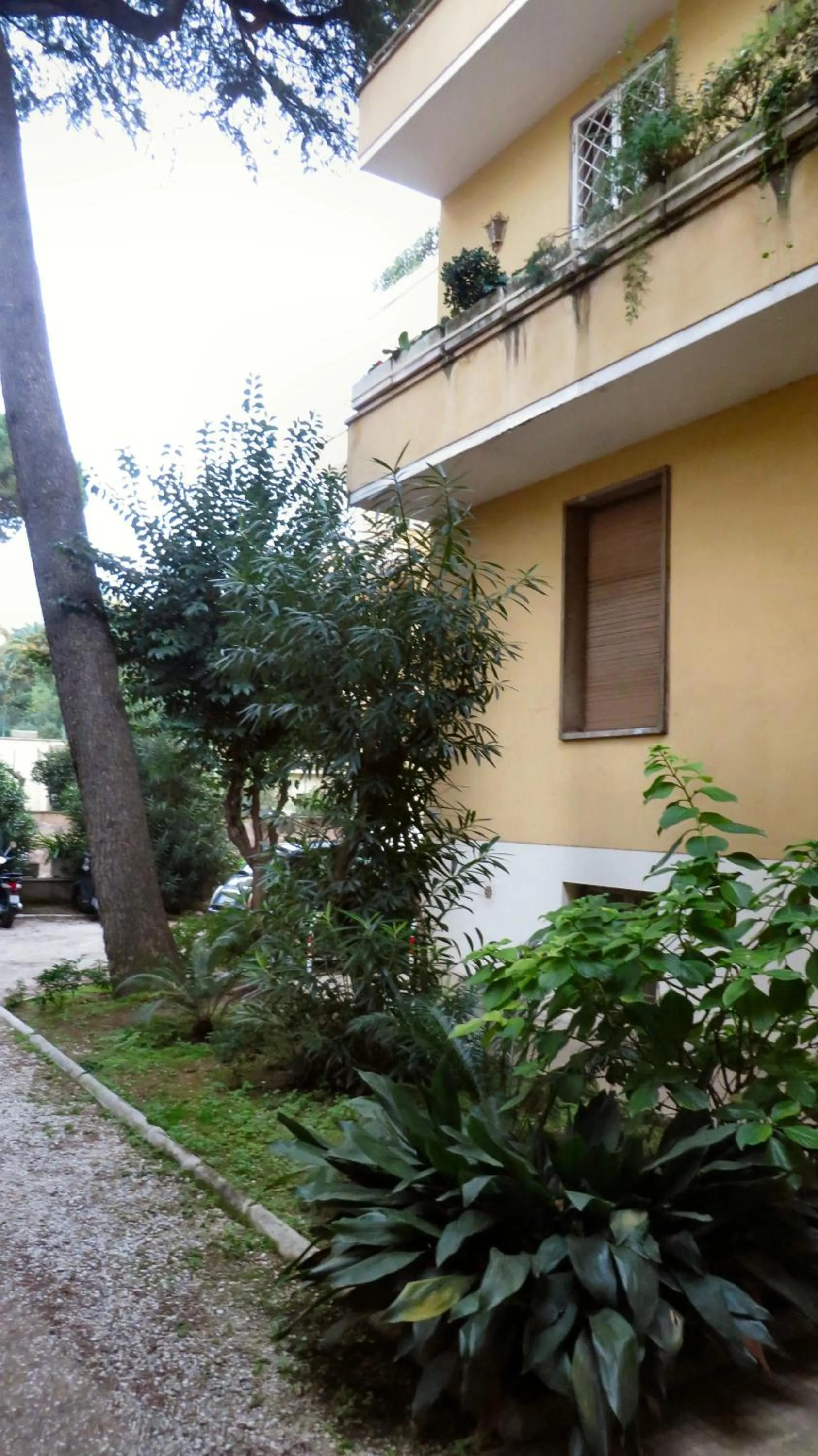 Property building in Guest's Heaven