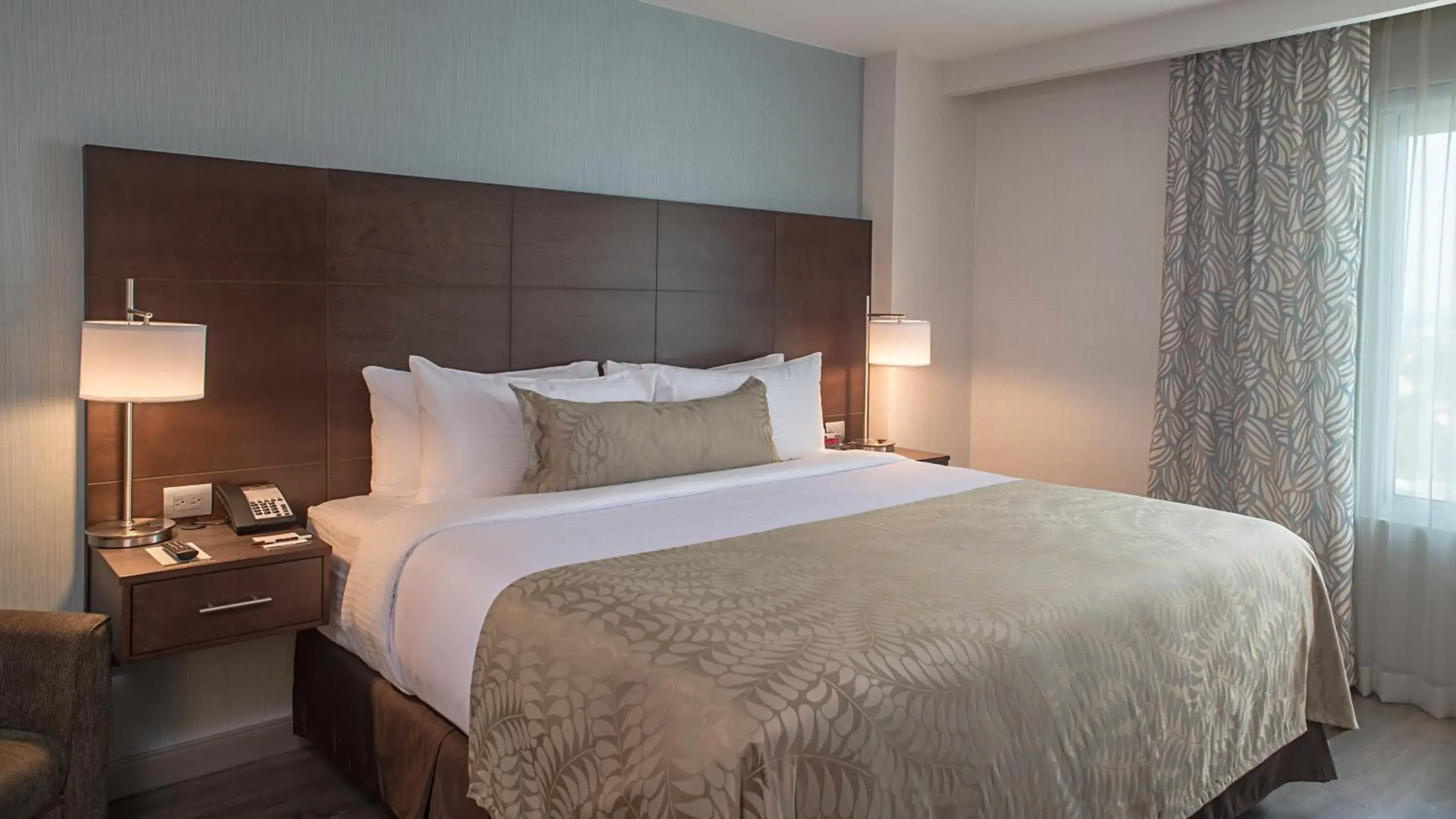 Standard Suite in Staybridge Suites Puebla by IHG Standard Suite in Staybridge Suites Puebla by IHG