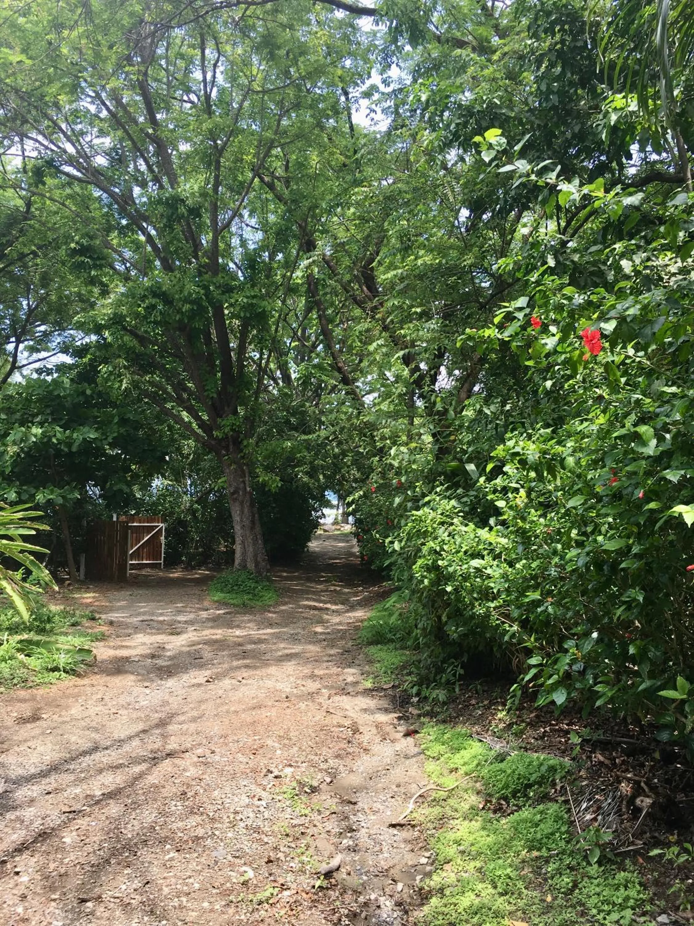 Street view in Makanas Beach Bungalows